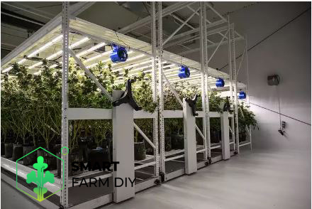 โต๊ะปลูก แบบ 3 ชั้น EBB and Flow มีรางระบายน้ำ