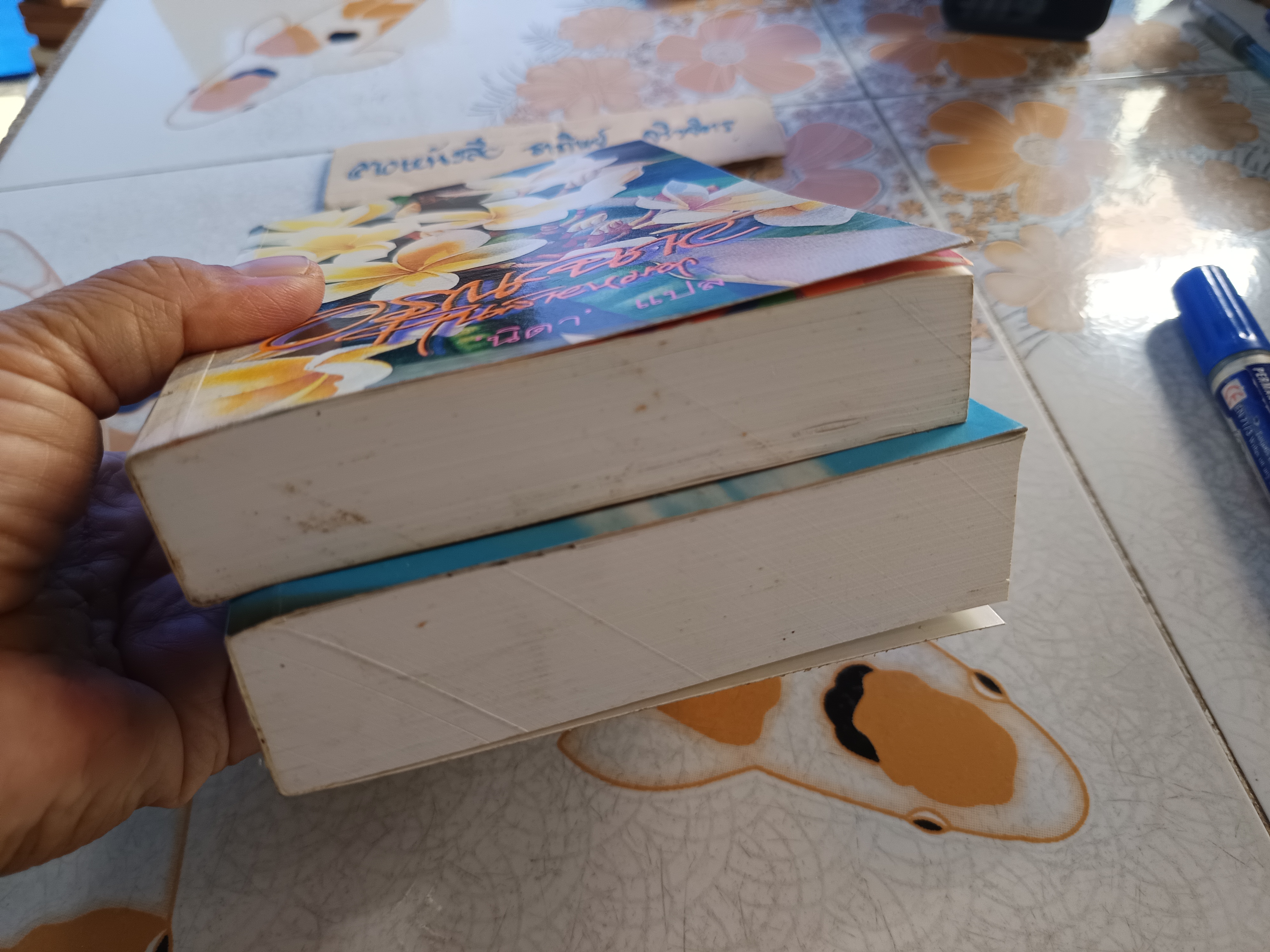 อรุณฉายในสายหมอก + ฝากฝันไว้ในสายลม (ครบ 2 ภาคจบบริบูรณ์) แปลและเรียบเรียง นิดา **สินค้าหมด**