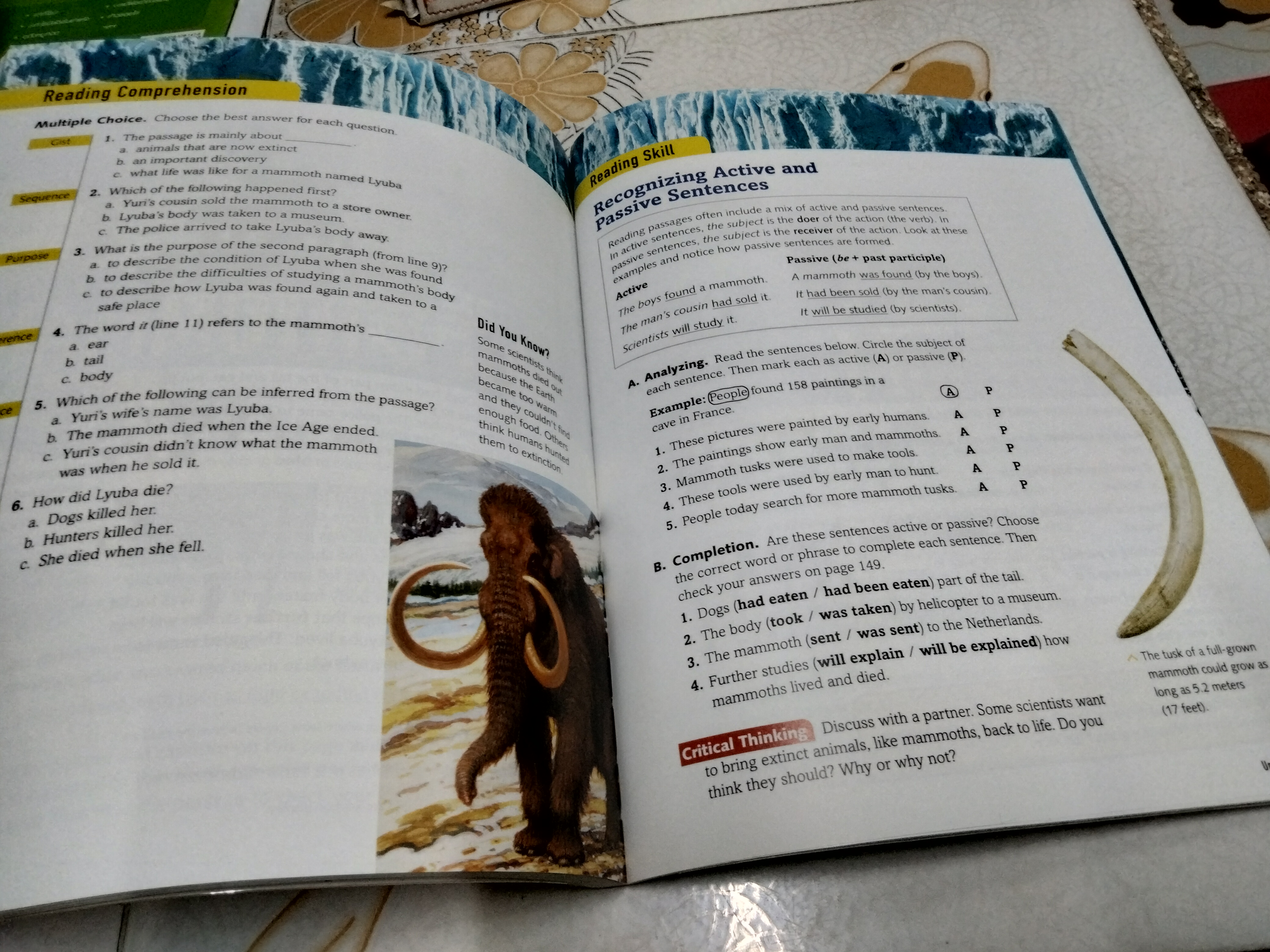 READING EXPLORER FOUNDATIONS: STUDENT'S BOOK