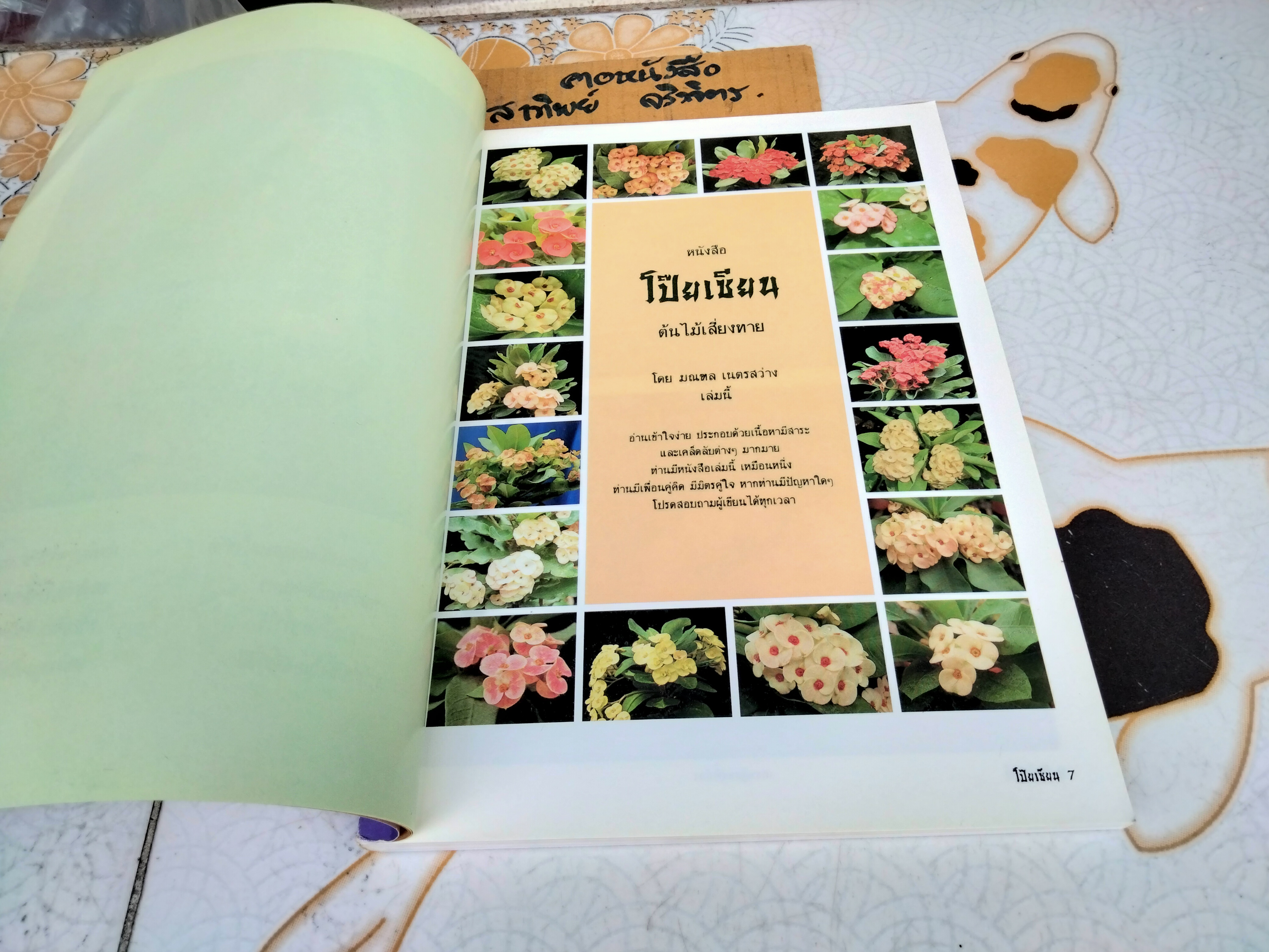 โป๊ยเซียน ต้นไม้เสี่ยงทาย เล่ม 2 โดย มณฑล เนตรสว่าง พิมพ์ปี พ.ศ 2537