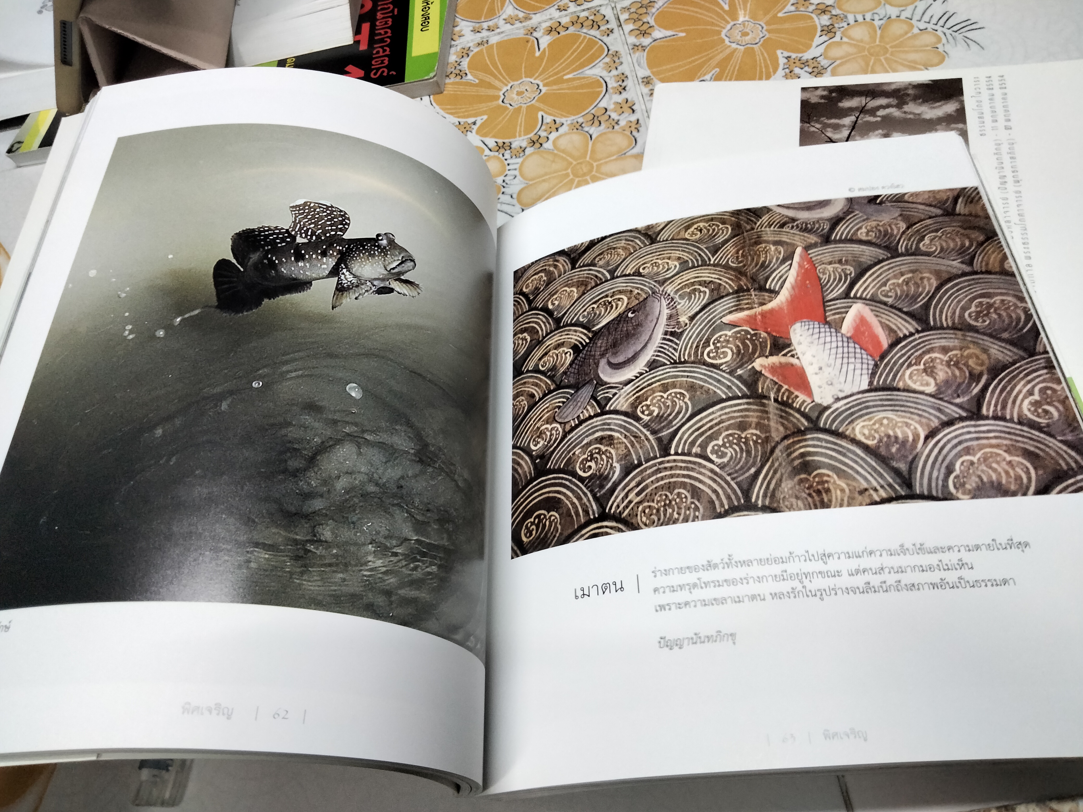 พิศเจริญ 1-2