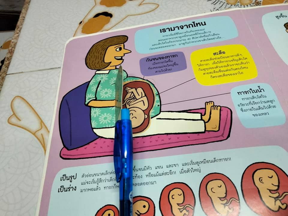 นักสำรวจน้อย ร่างกายของเรา - รูท มาร์ติน และ อัลลัน แซนเดอร์ส เรื่อง, สิทธิพร ยะศะนพ แปล **สินค้าหมด