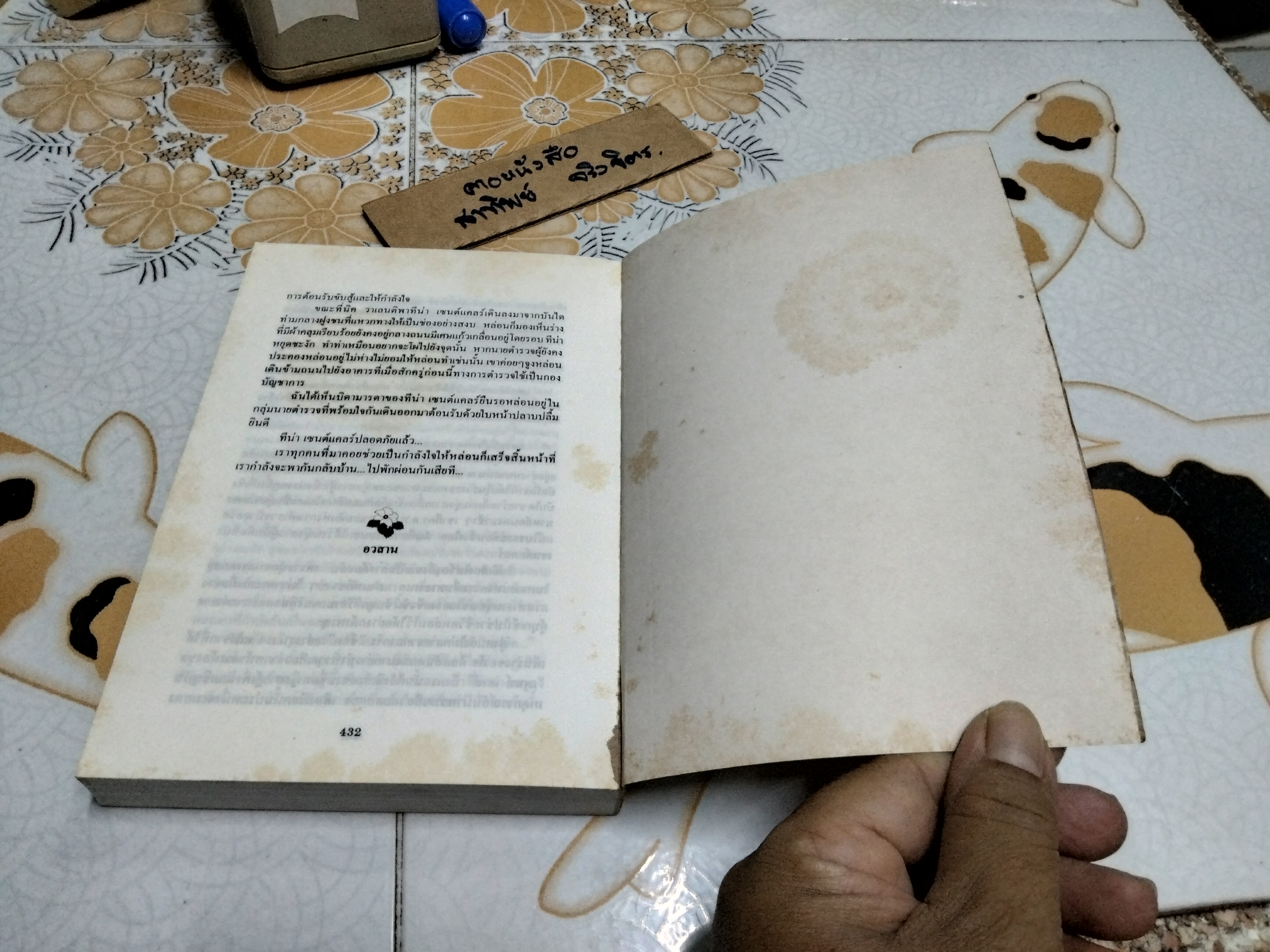 ดอกฟ้า คนบ้า และความรัก The Penthouses by Elleston Trevor นิดา แปลและเรียบเรียง (มีตราประทับจากเจ้าของเดิม) **สินค้าหมด**