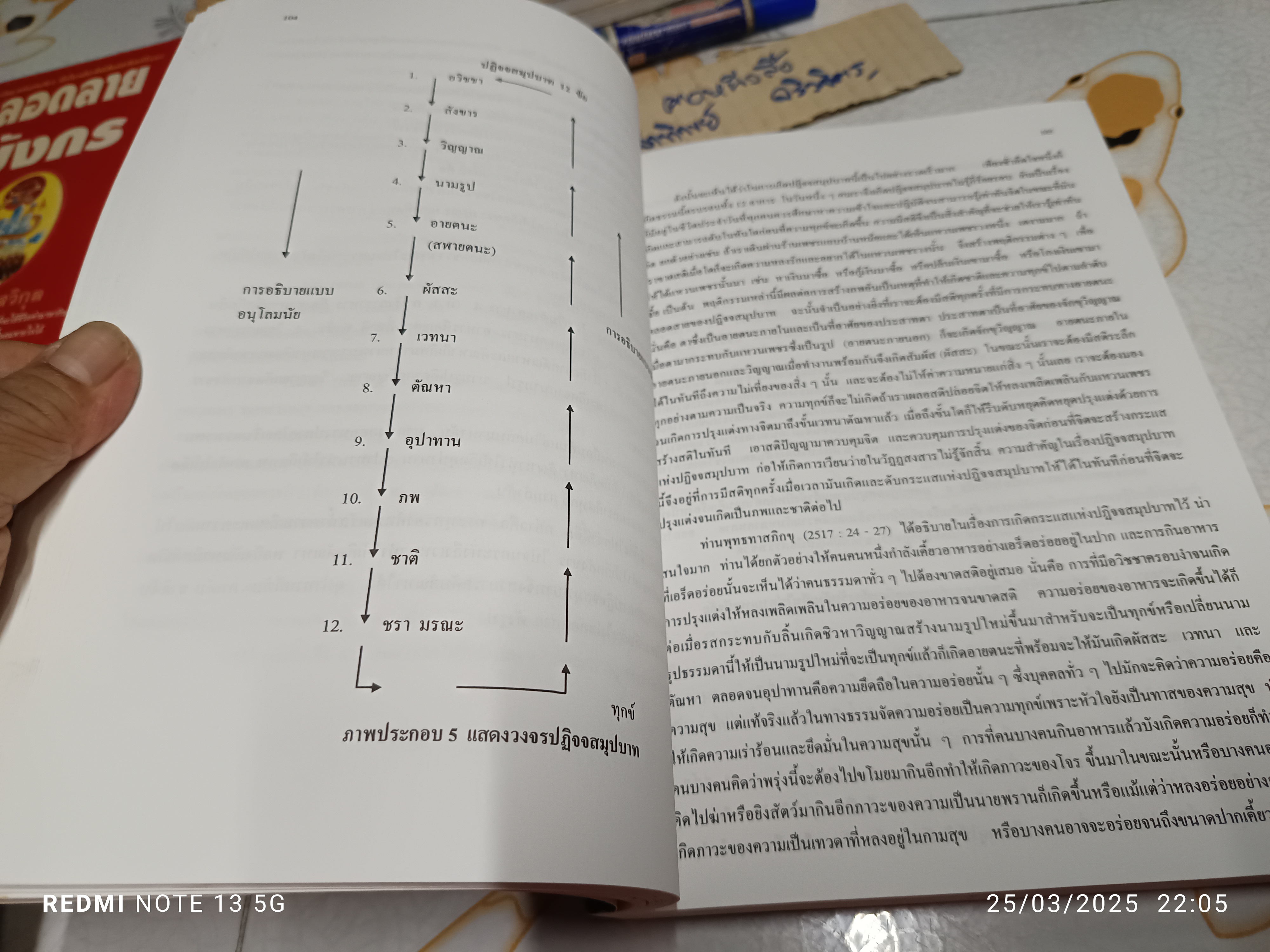 ศาสนาเปรียบเทียบ - ผศ.วนิดา ขำเขียว ภาควิชาปรัชญาและศาสนา มศว.ประสานมิตร (มีรอยปากกาเน้นข้อความหลายหน้า)