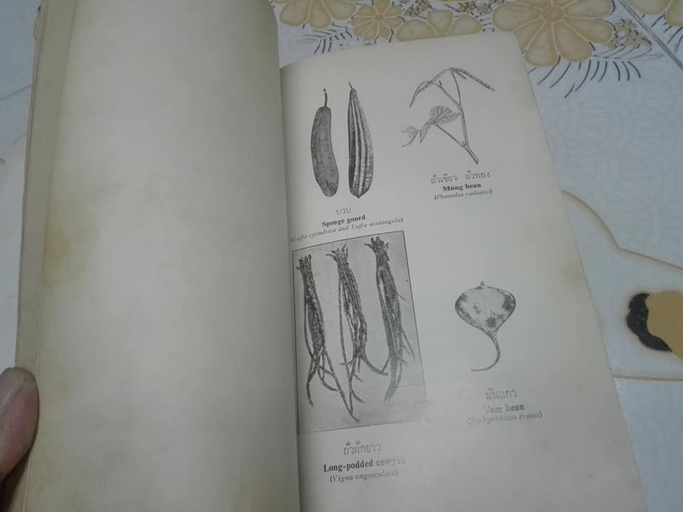 EVERYDAY SIAMESE DISHES by SIBPAN SONAKUL **สินค้าหมด**