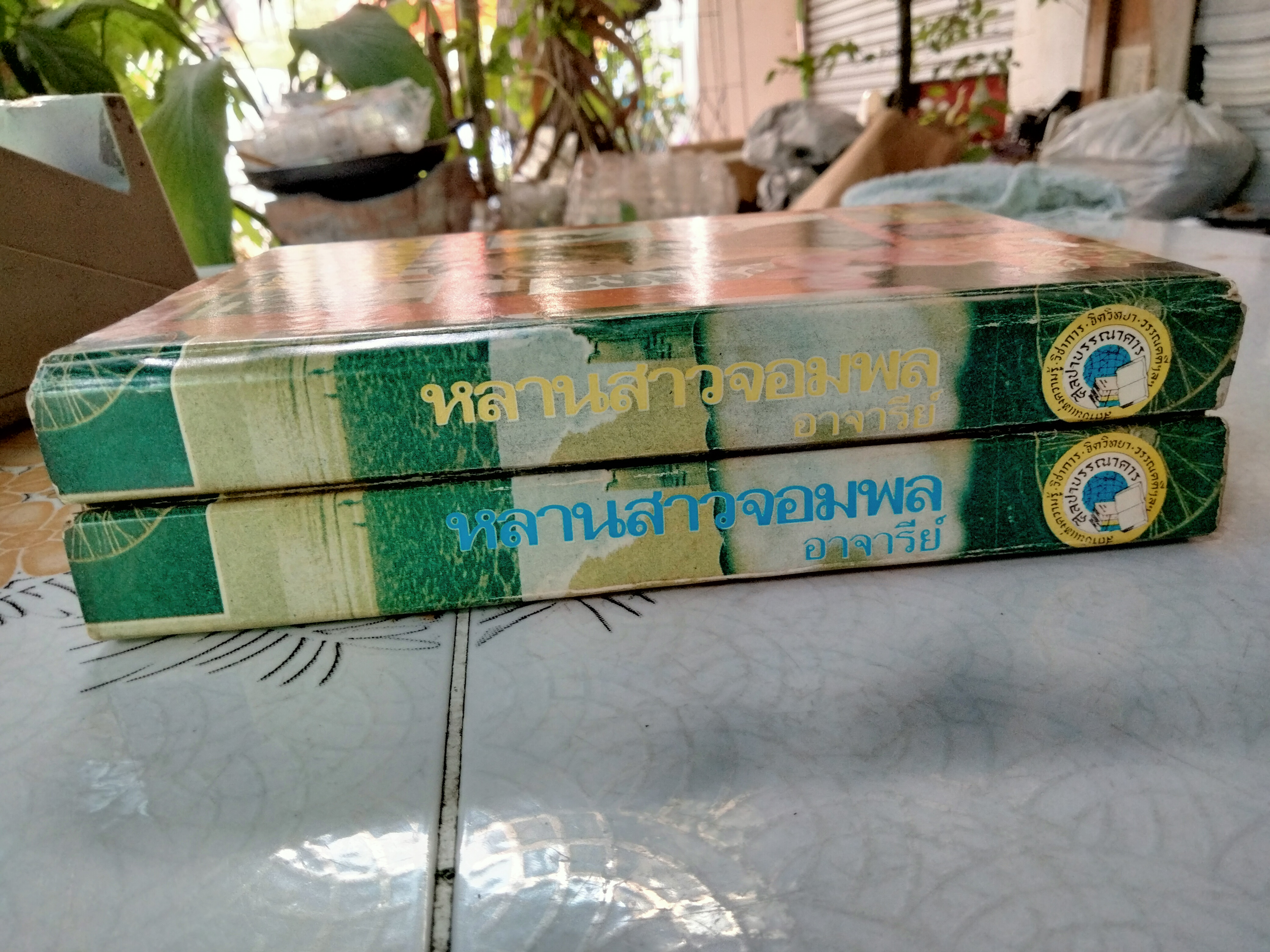 หลานสาวจอมพล (2 เล่มจบ) อาจารีย์