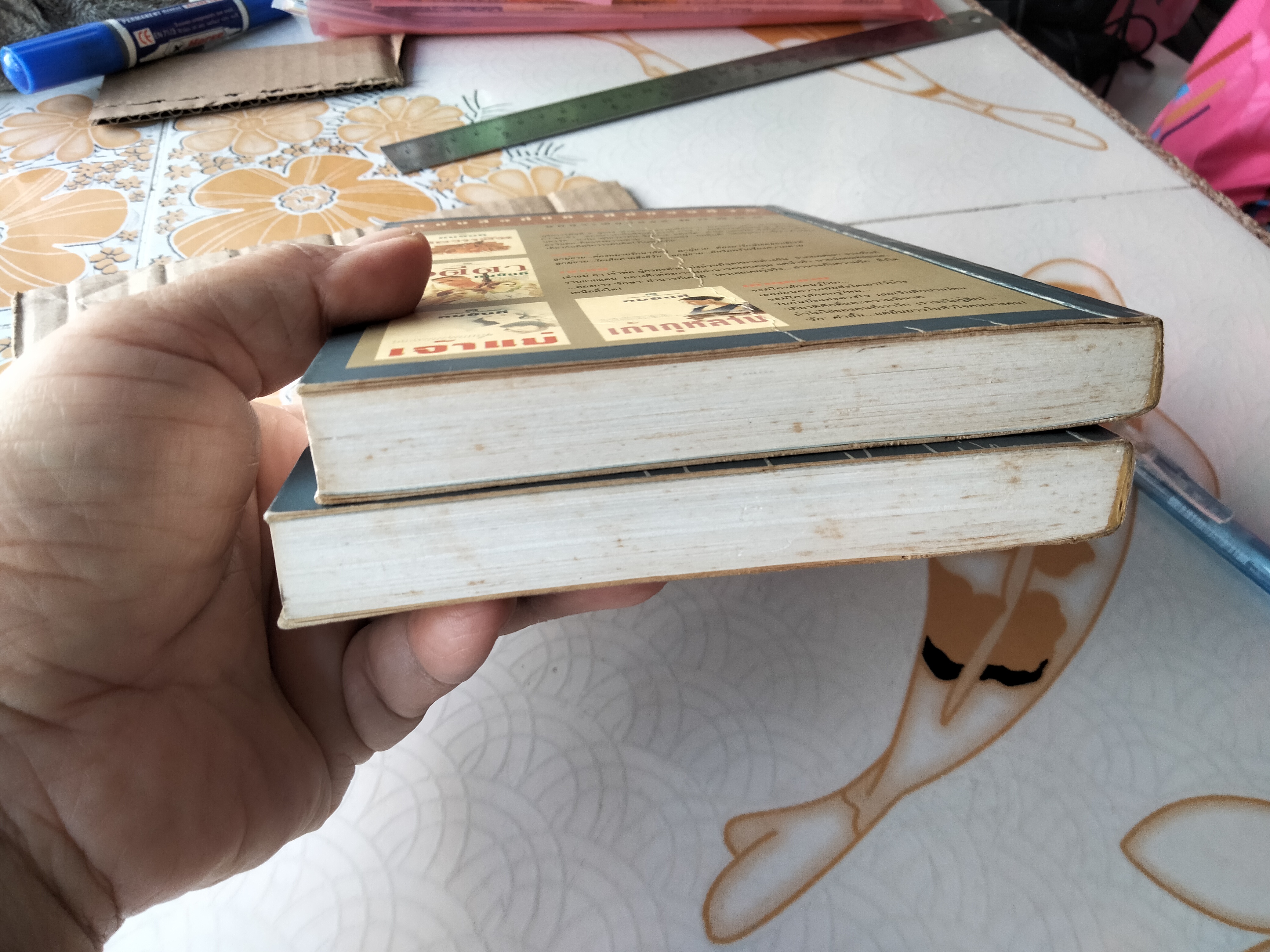 แสงดาวฝั่งทะเล (2 เล่มจบ) กิ่งฉัตร - มีตำหนิตามที่แจ้ง **สินค้าหมด**