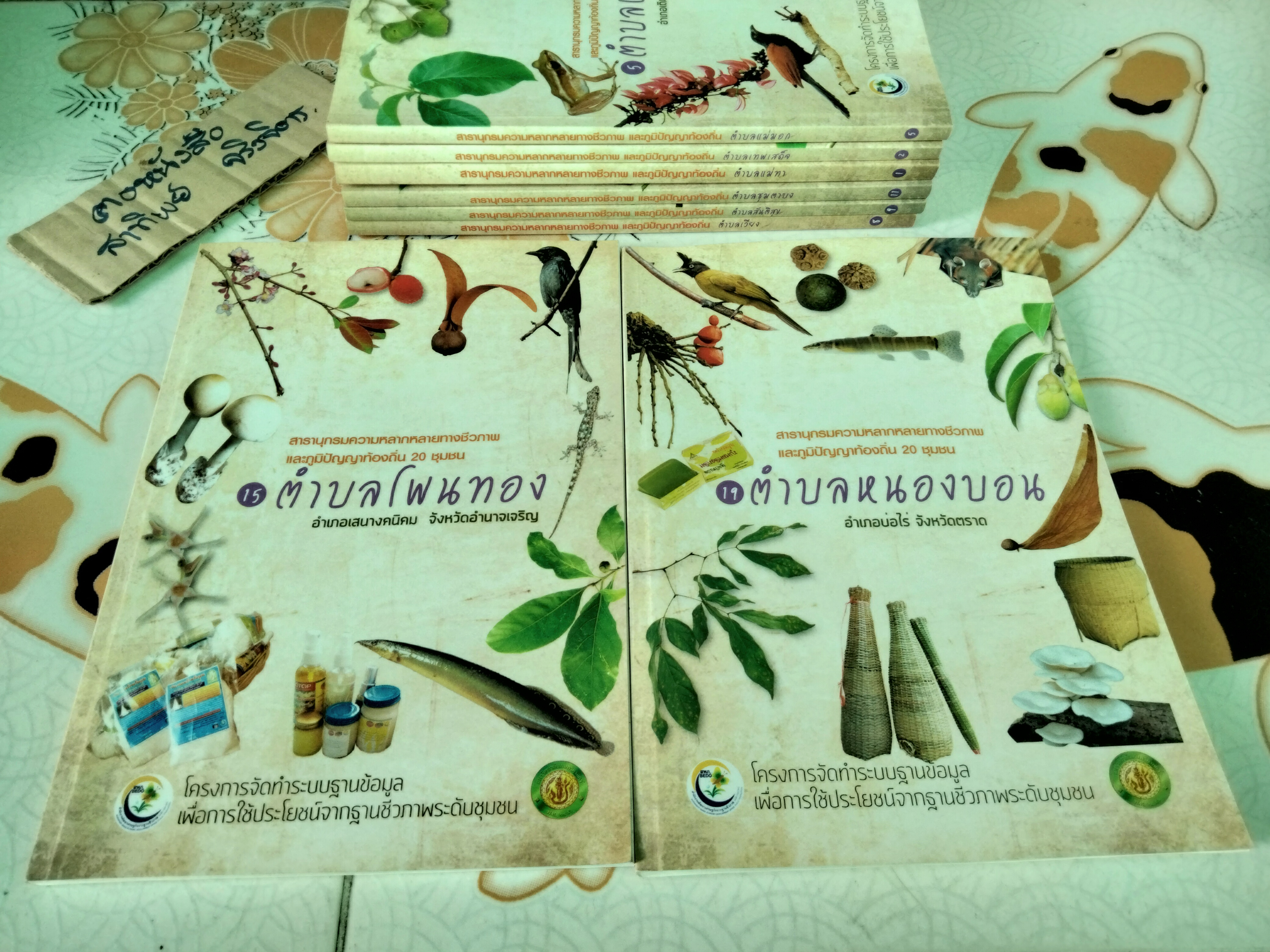 สารานุกรมความหลากหลายทางชีวภาพและภูมิปัญญาท้องถิ่น 20 ชุมชน (มีแค่ 8 เล่ม จาก 20 เล่ม/ชุด)