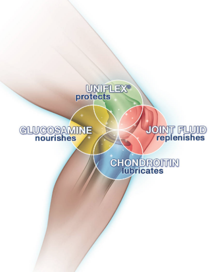 21st Century® Glucosamine Relief 500 mg 60 Capsules Easy Swallow กลูโคซามีน ช่วยบำรุงข้อต่อ ลดการเสื่อมของกระดูกอ่อน เหมาะสำหรับผู้มีอาการปวดข้อ