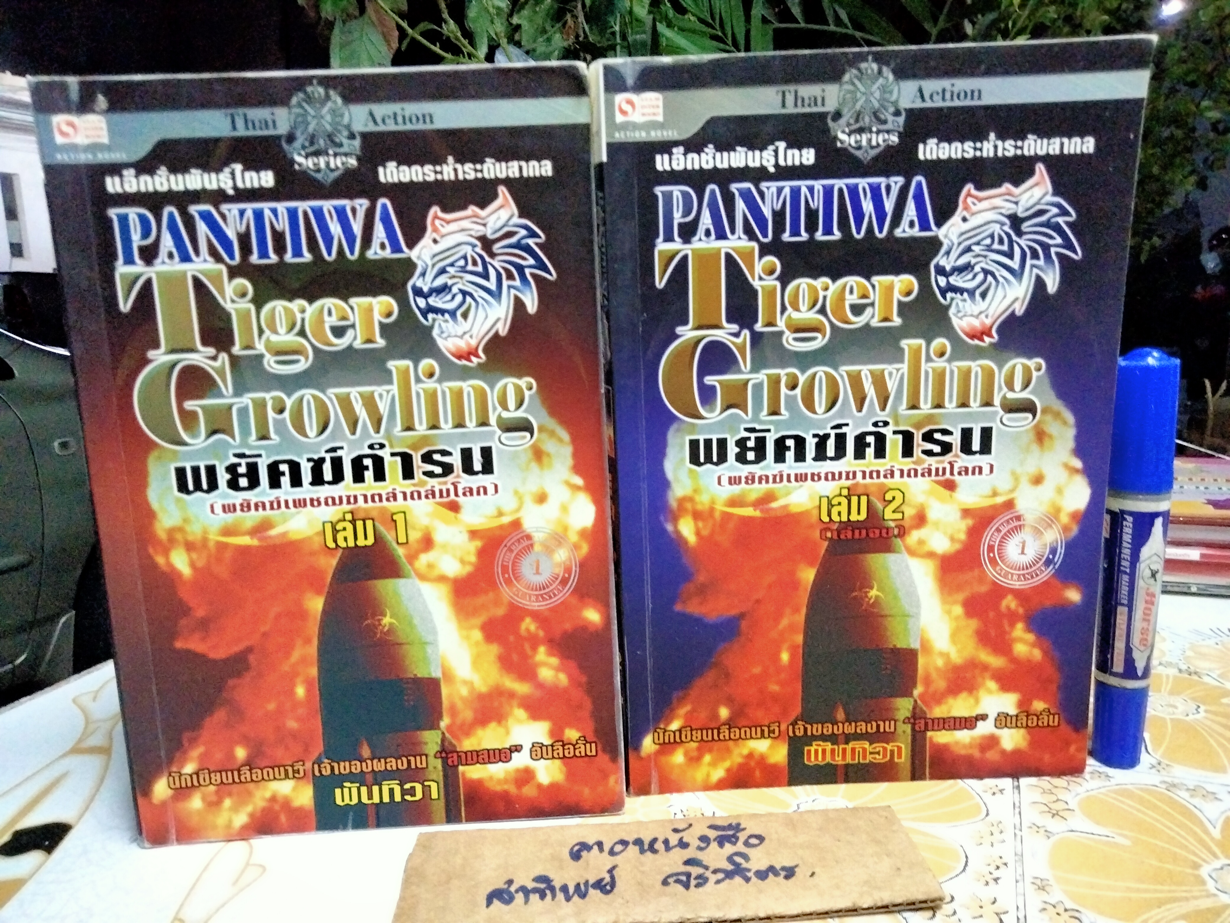 พยัคฆ์คำรน (พยัคฆ์เพชฌฆาตล่าถล่มโลก) 2 เล่มจบ โดย พันทิวา