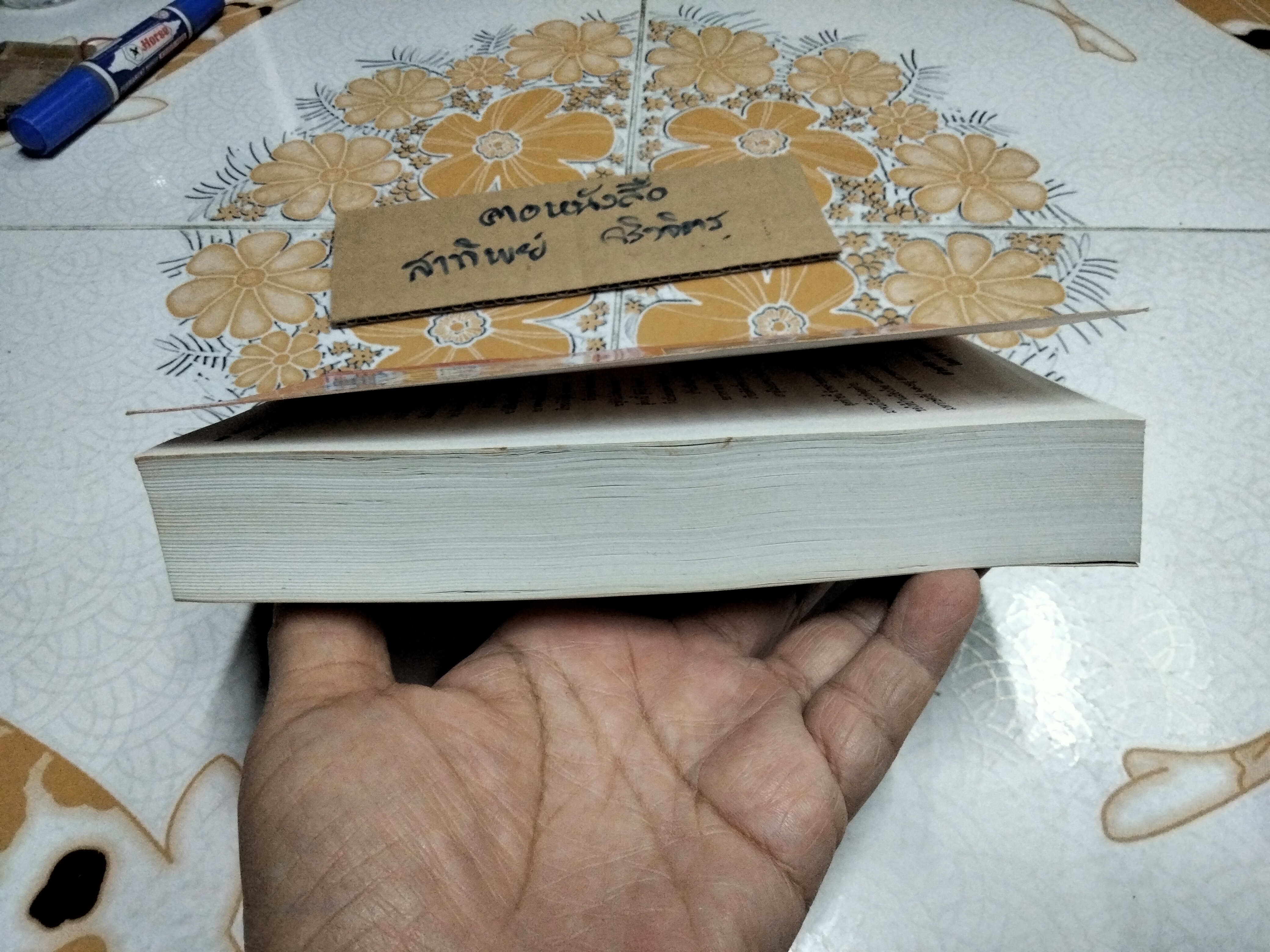 หนังหน้าไฟ (เล่มเดียวจบ) โสภาค สุวรรณ **สินค้าหมด**