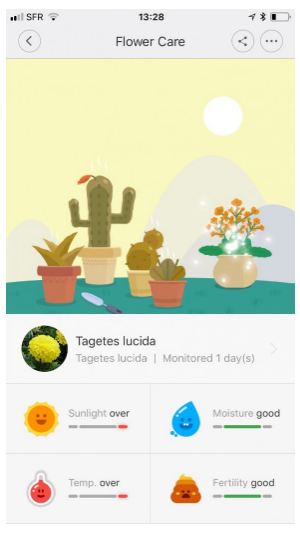 เซนเซอร์วัดค่าในดิน Xiao mi mi care plants Grass Flower Flora Digital Monitor