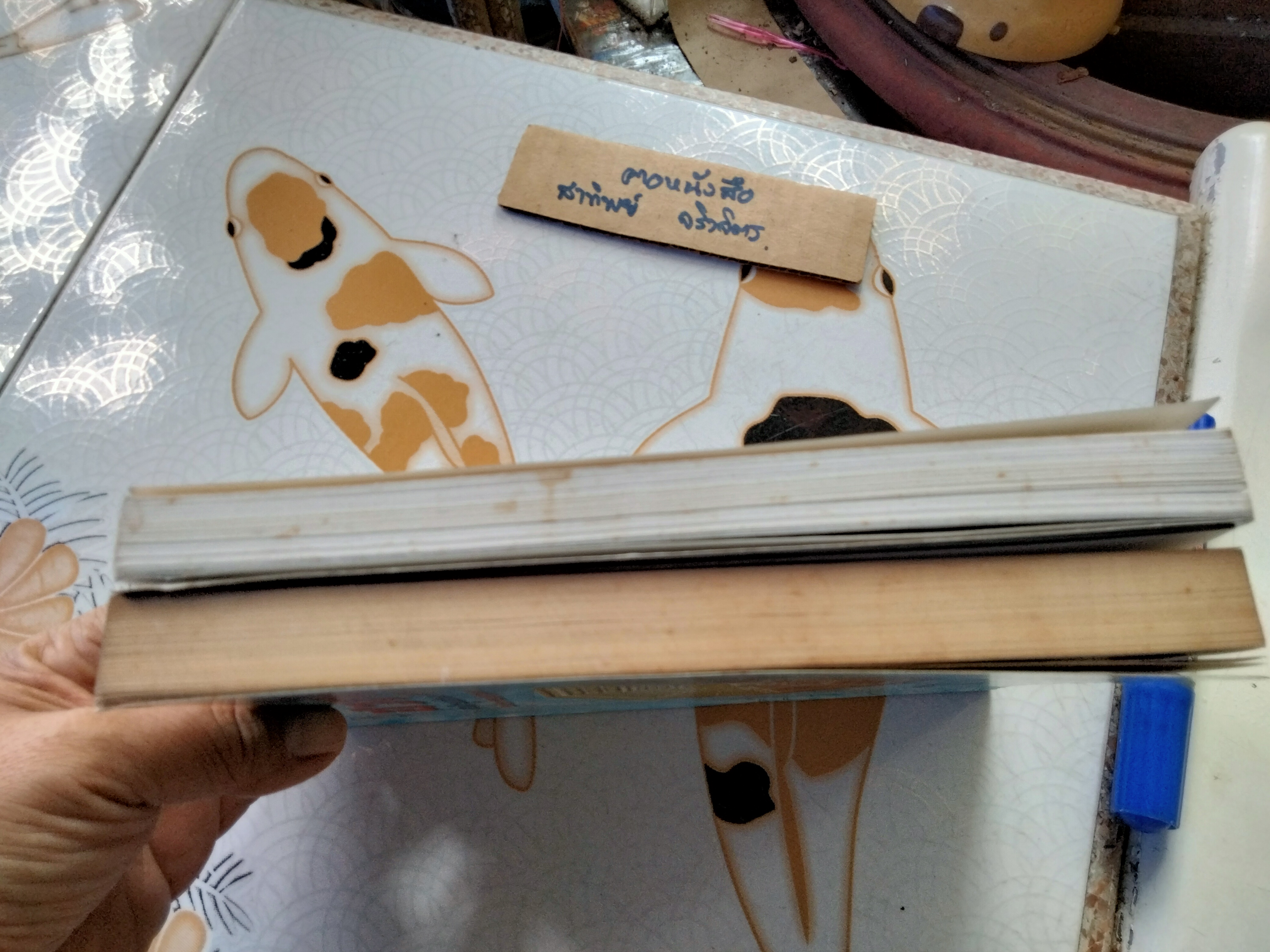 ฮวงจุ้ย สำนักรูปลักษณ์ เล่ม 1-2 โดย อำนวยชัย ปฏิพัทธ์เผ่าพงศ์ **สินค้าหมด**