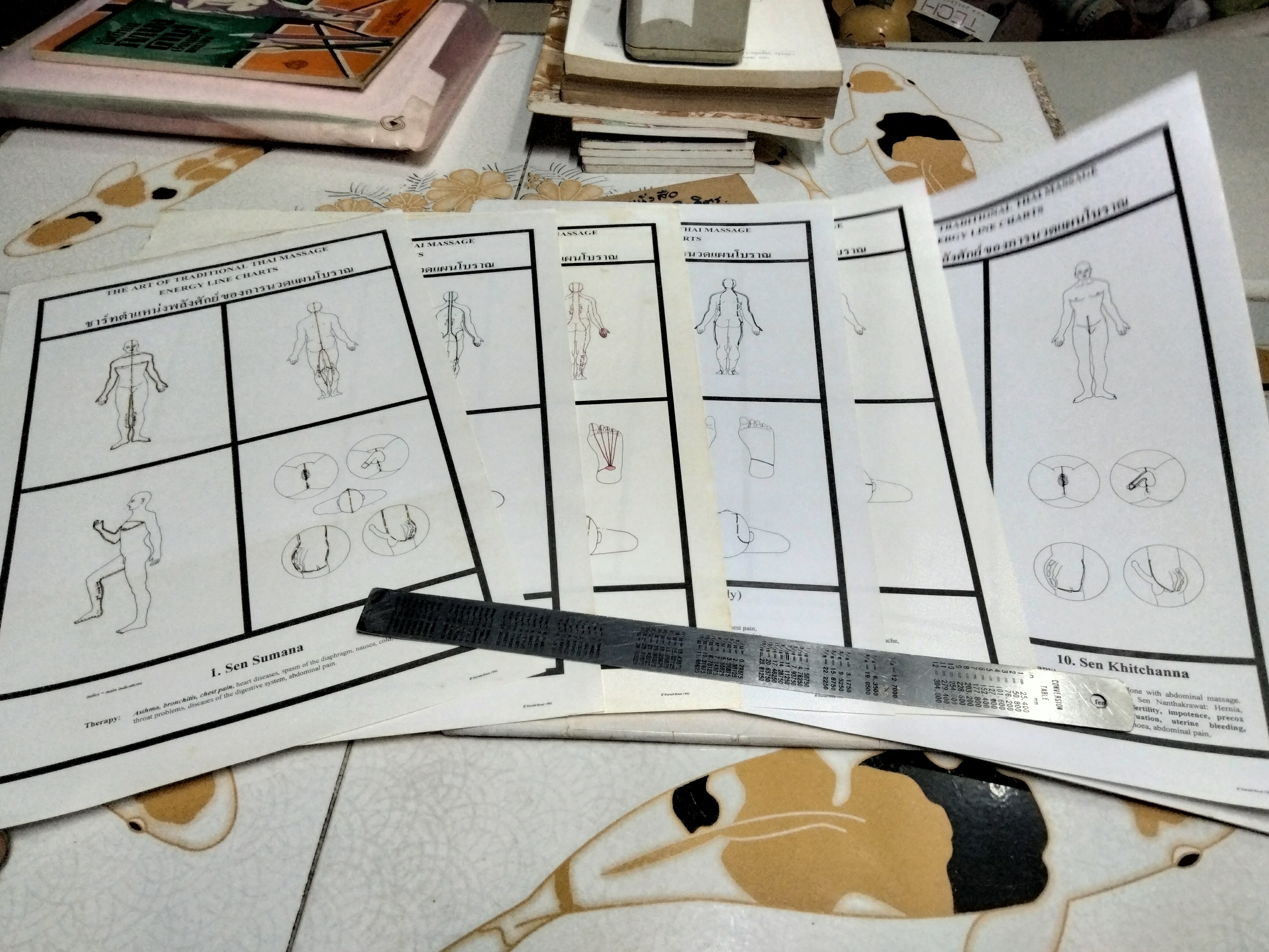 ชาร์ทตำแหน่งพลังศักย์ของการนวดแผนโบราณ The art of traditional Thai massage energy line charts - Asokananda **สินค้าหมด**