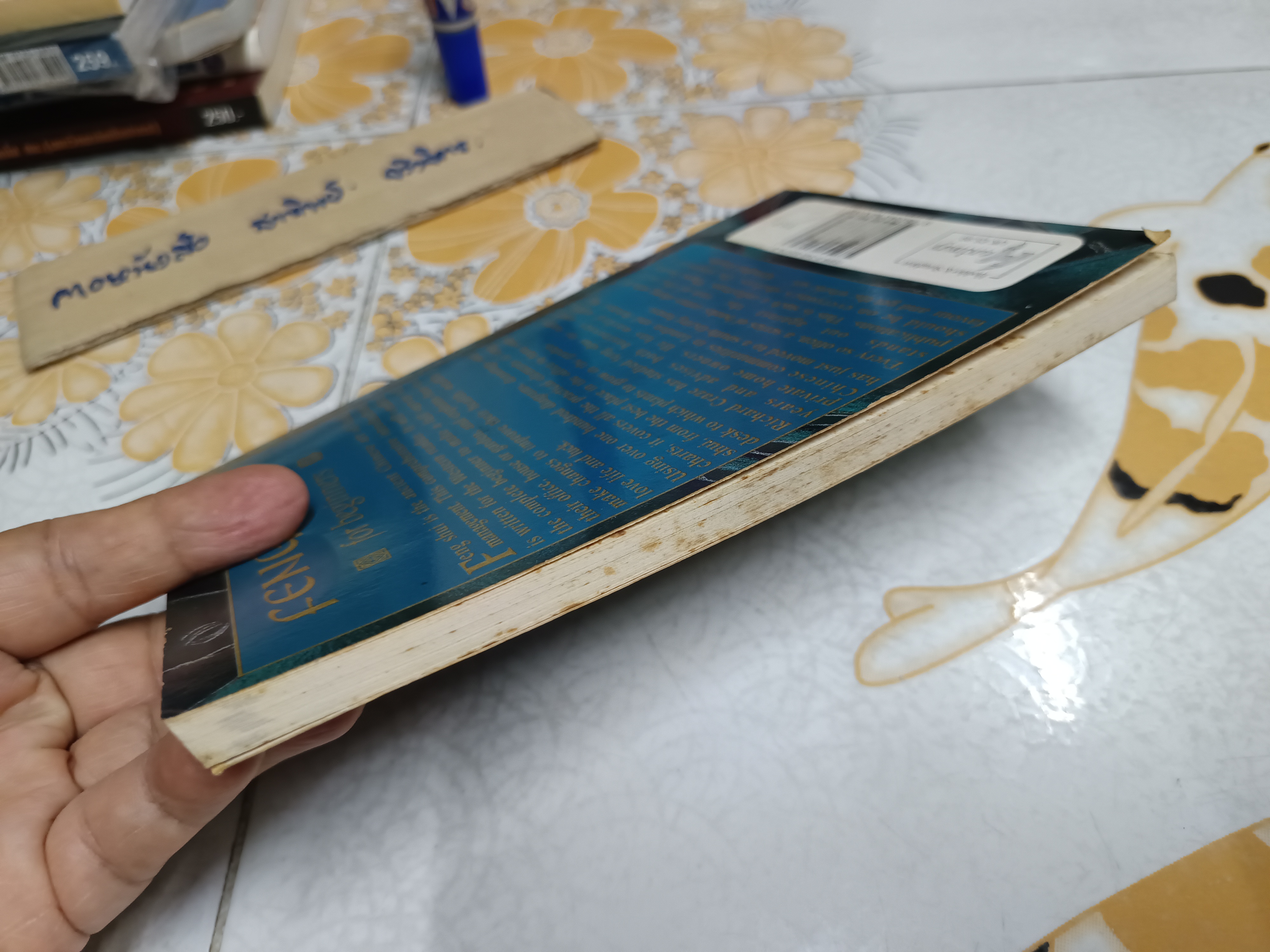 FENG SHUI FOR BEGINNERS by RICHARD CRAZE