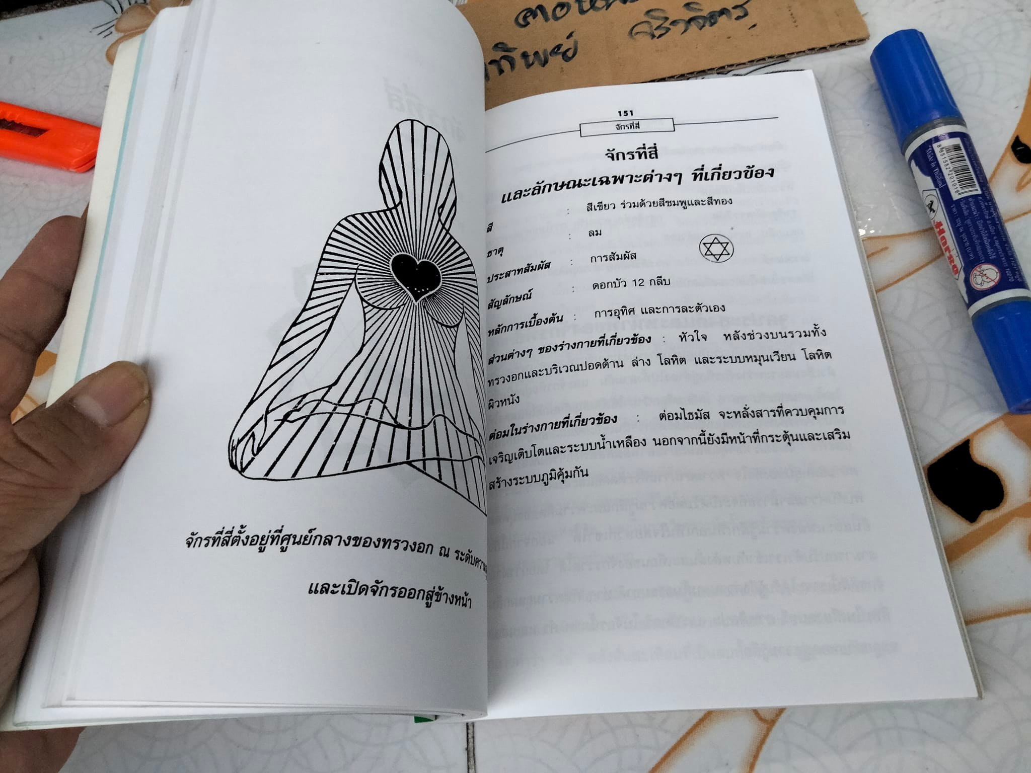 หนังสือ จักร คู่มือพลังแห่งชีวิต The Chakra Handbook โดย Shalila Sharamon and Bodo J. Baginski - แปลและเรียบเรียง โดย หมอโบราณ **สินค้าหมด**