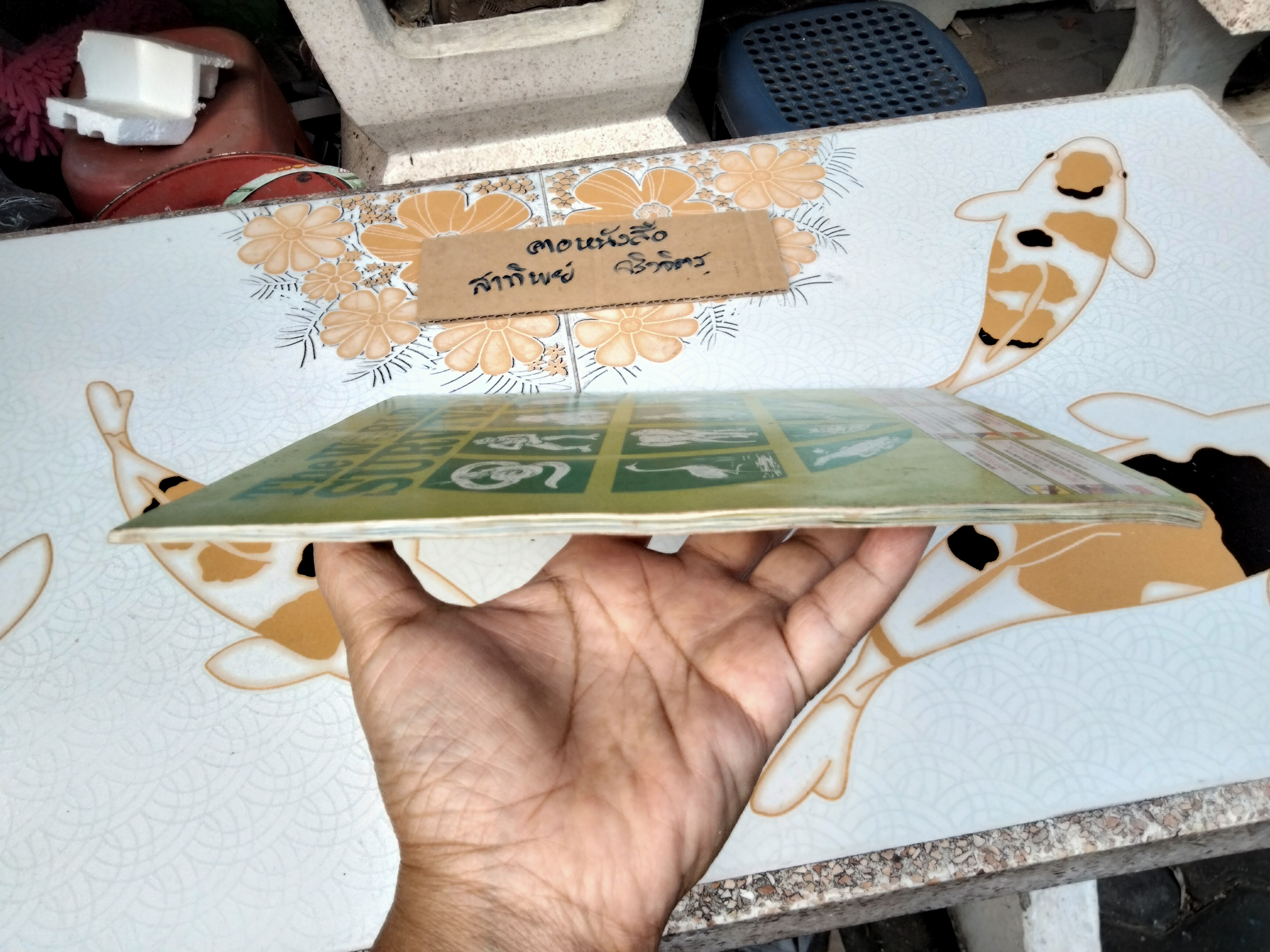 สมุดสะสมสติกเกอร์ ชีวิตสัตว์โลก (แปะสติกเกอร์ 178 รูป จากทั้งหมด 240 รูป) **สินค้าหมด**