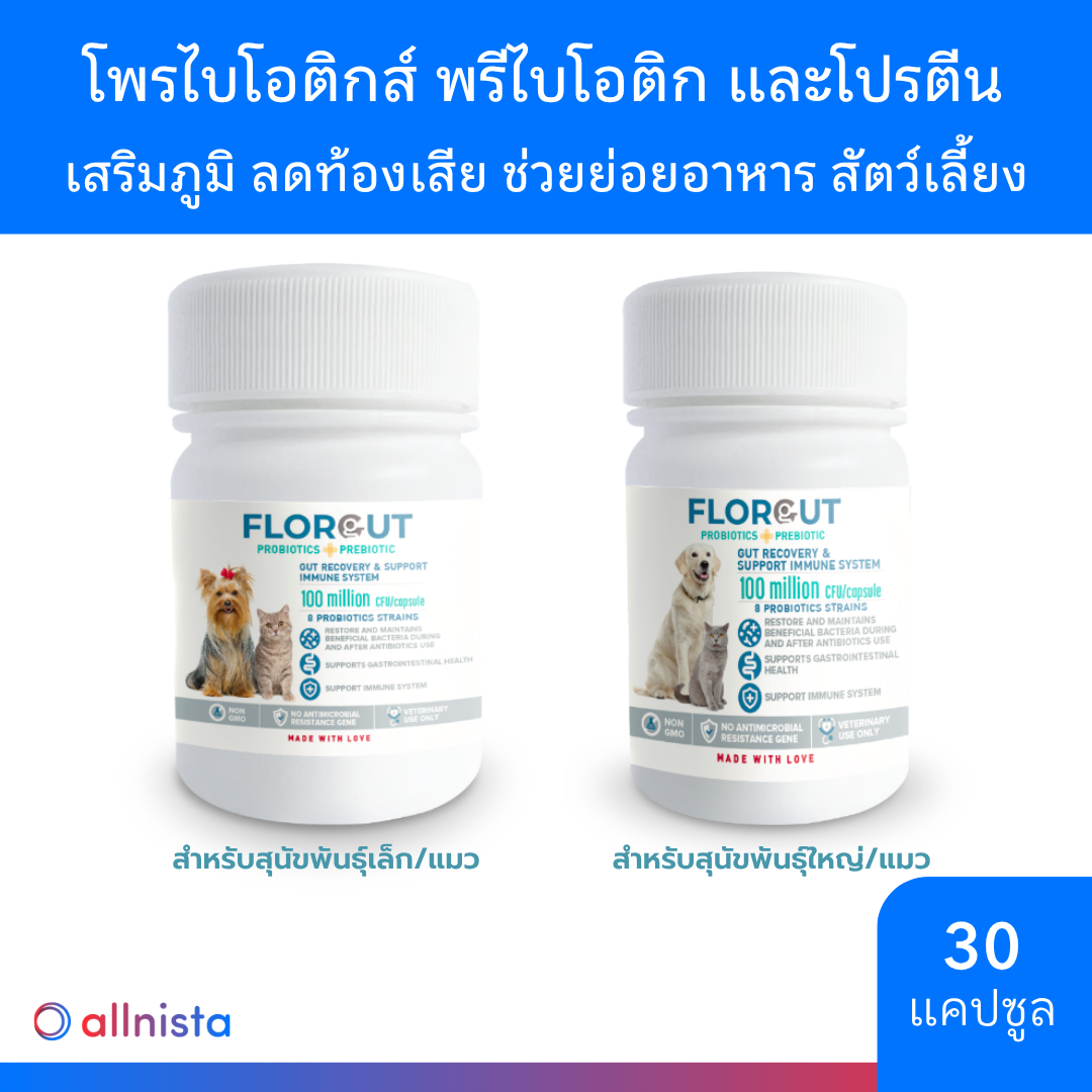 FlorGut ฟลอกัท อาหารเสริม โพรไบโอติกส์ พรีไบโอติก และโปรตีน สำหรับสุนัขและแมว 30 แคปซูล