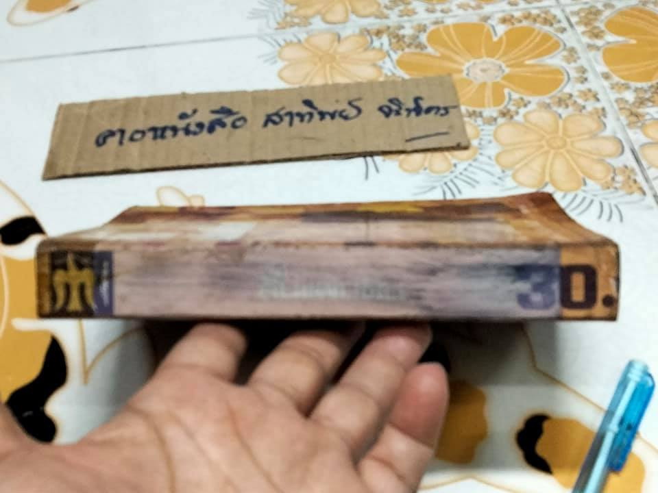 สิ้นแผ่นดิน Not with guns alone ผลงานของ เดนิส วอร์เน่อร์ (Denis Warner) แปลโดย ไพโรจน์ พันธุมจินดา