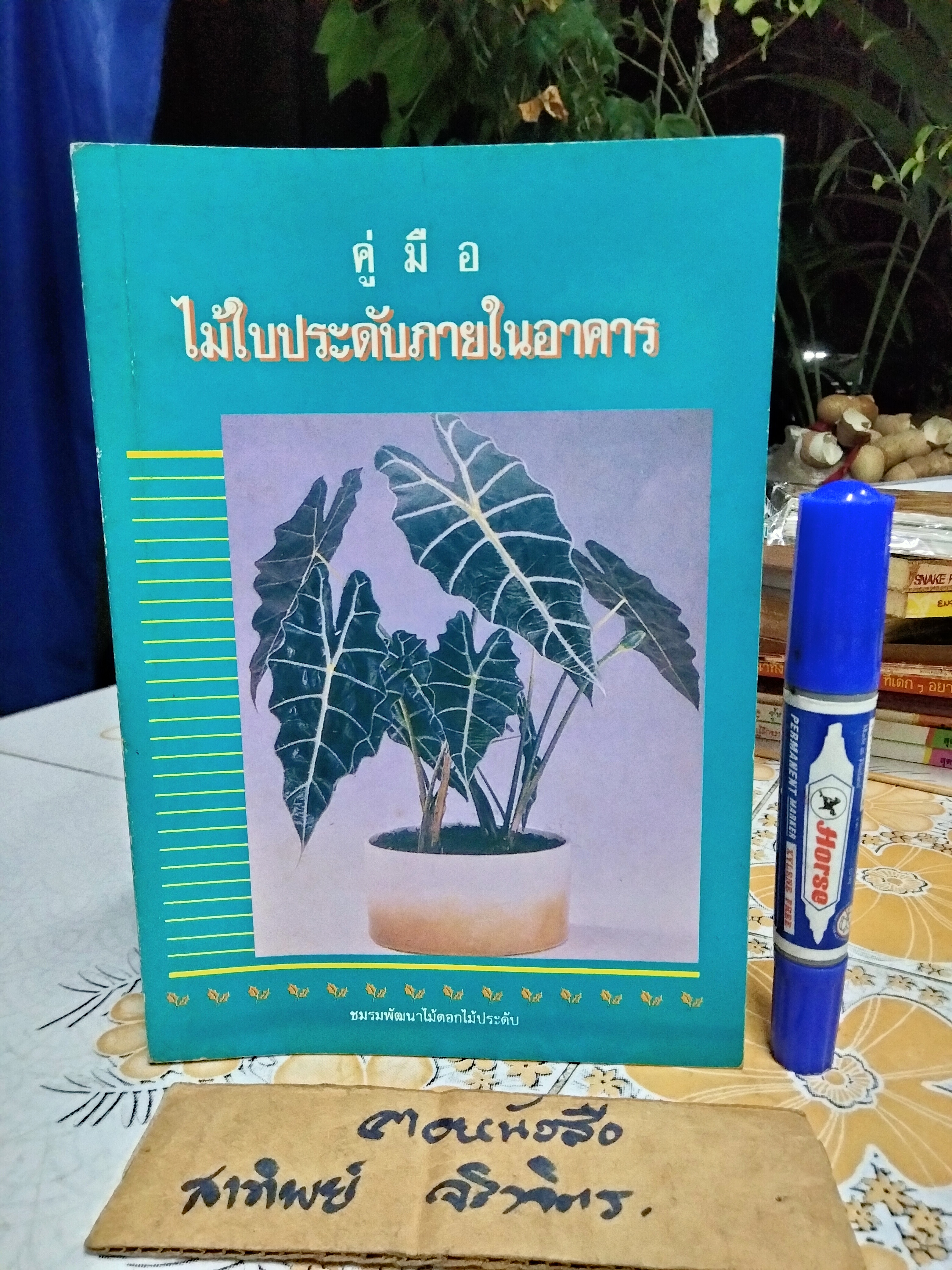 คู่มือไม้ใบประดับภายในอาคาร จัดทำโดย ชมรมพัฒนาไม้ดอกไม้ประดับ (พิมพ์ปี 2536)