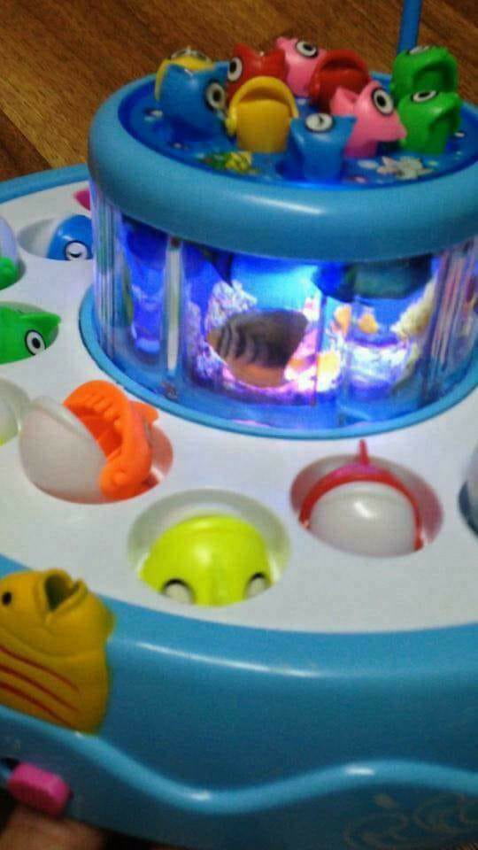 เกมตกปลาสองชั้น