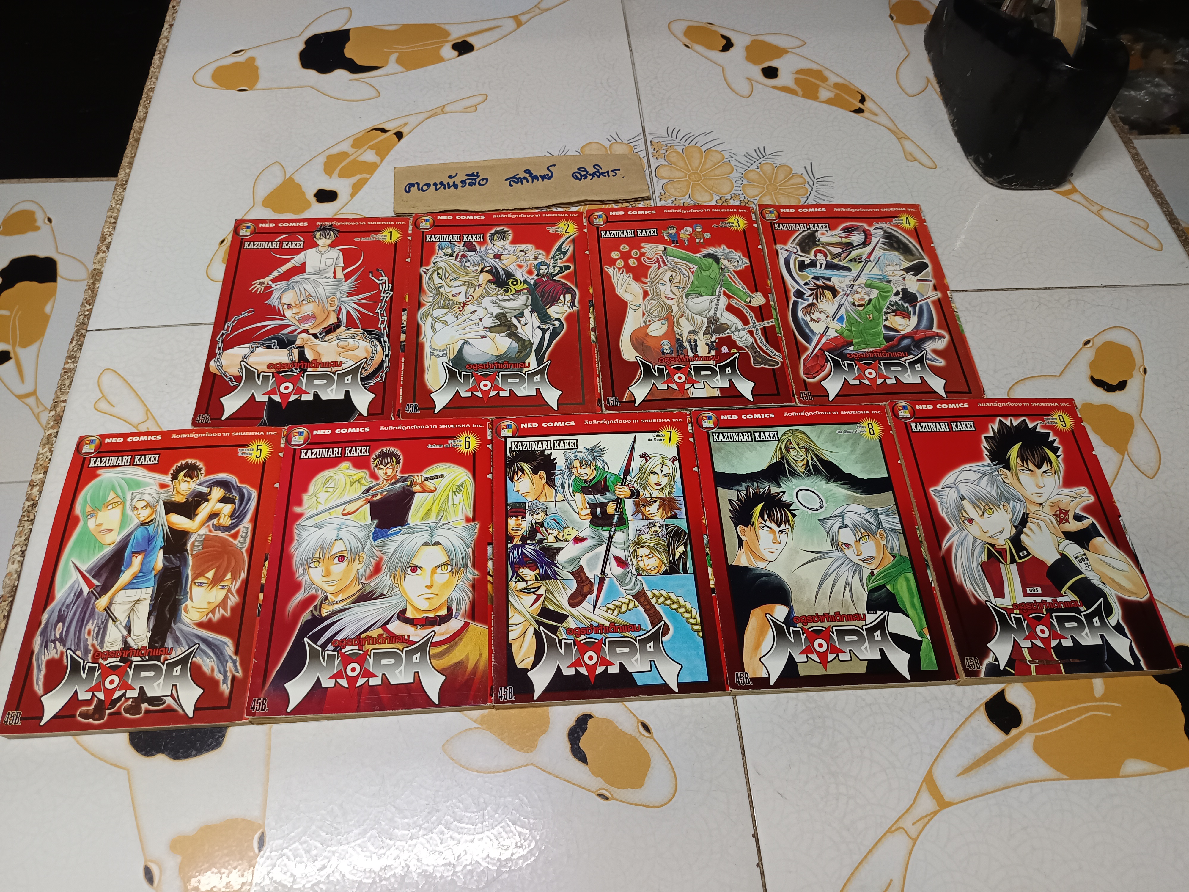 Nora อสูรซ่าท้าเด็กแสบ (9 เล่มจบ) ผลงานของ Kazunari Kakei สำนักพิมพ์ NED