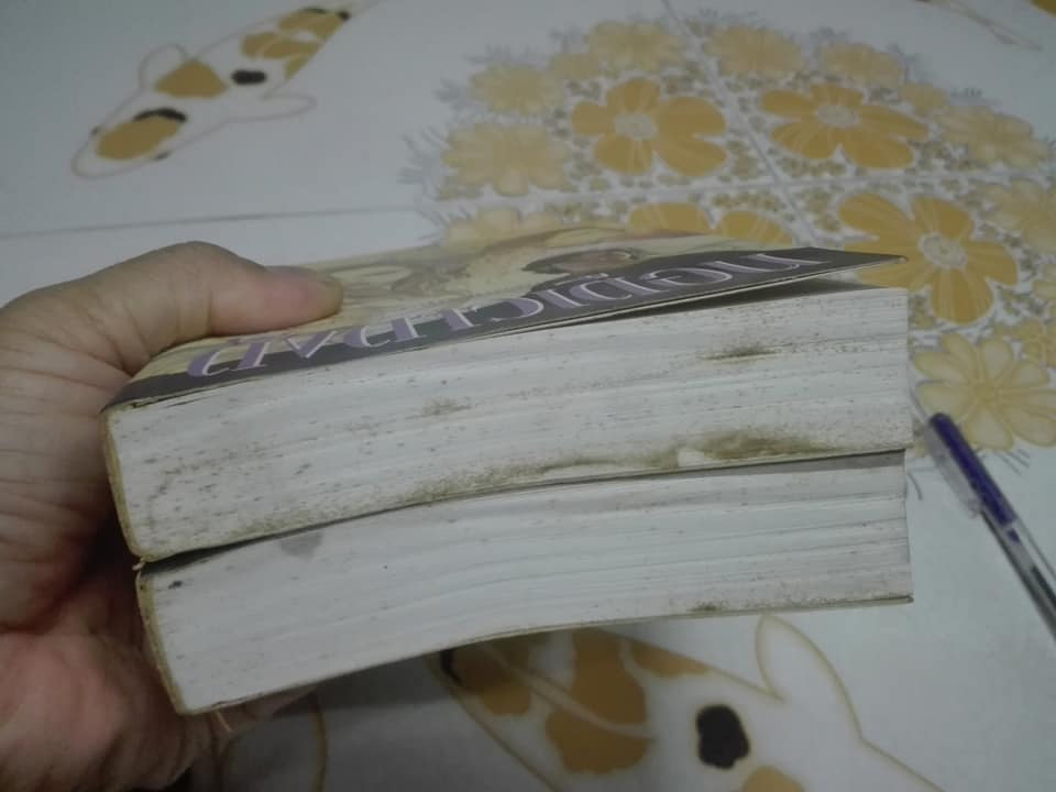 ดั่งดาวเดือน (2 เล่มจบ) โดย ช่อลัดา