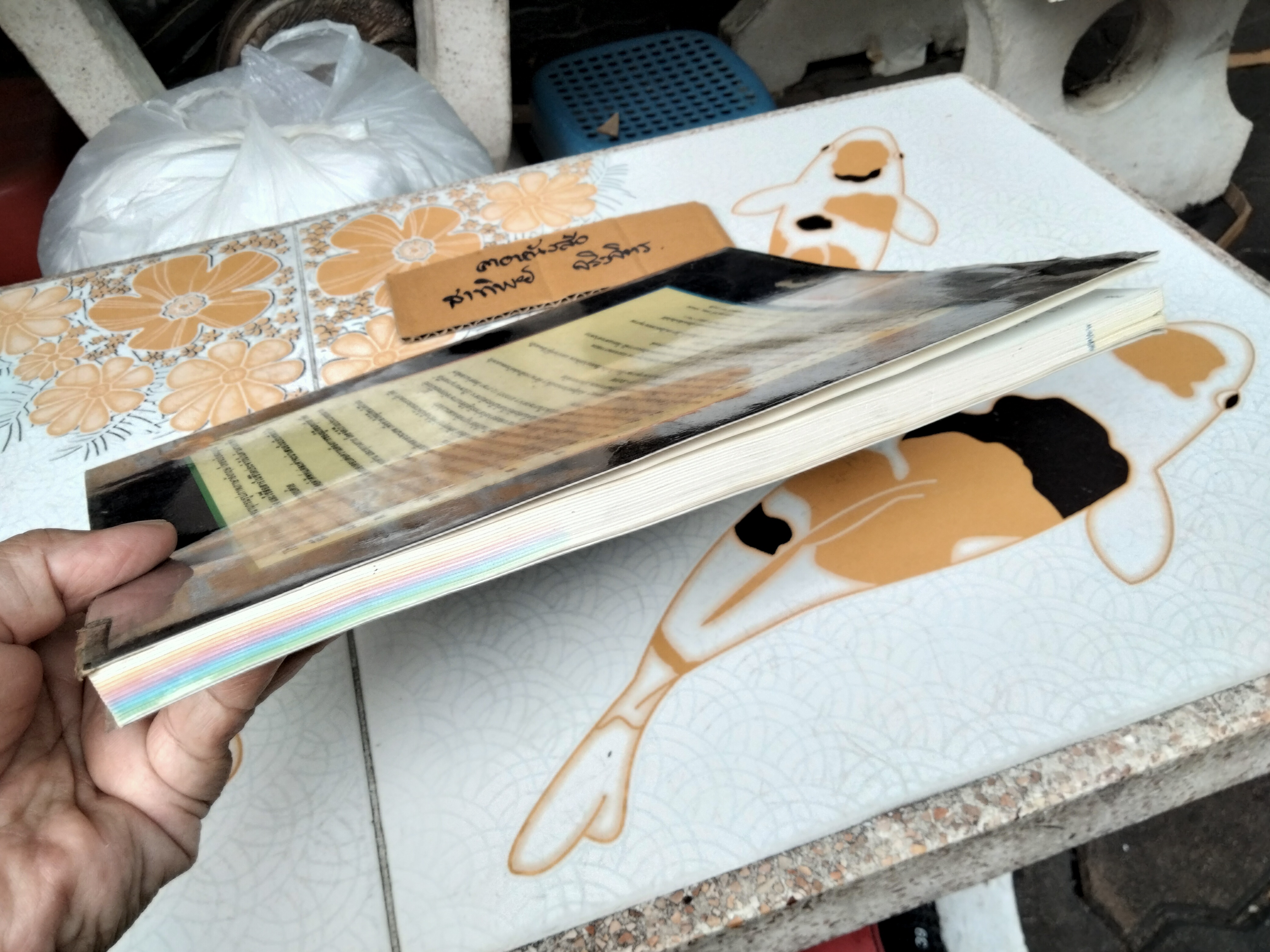 พจนานุกรมรูปภาพ อังกฤษ-ไทย The Oxford Picture Dictionary English - Thai **สินค้าหมด**