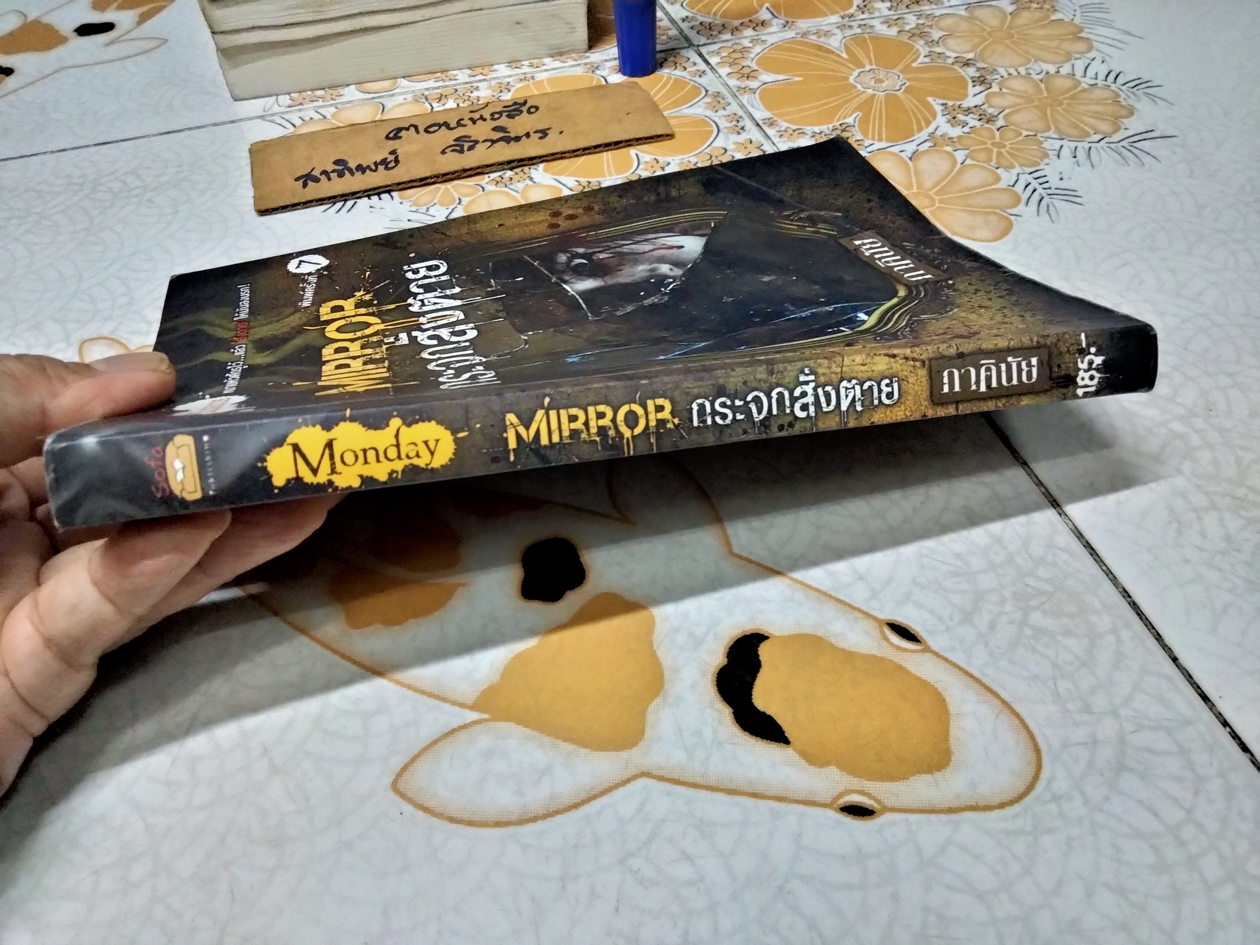 Mirror กระจกสั่งตาย (นิยาย) - ภาคินัย **สินค้าหมด**