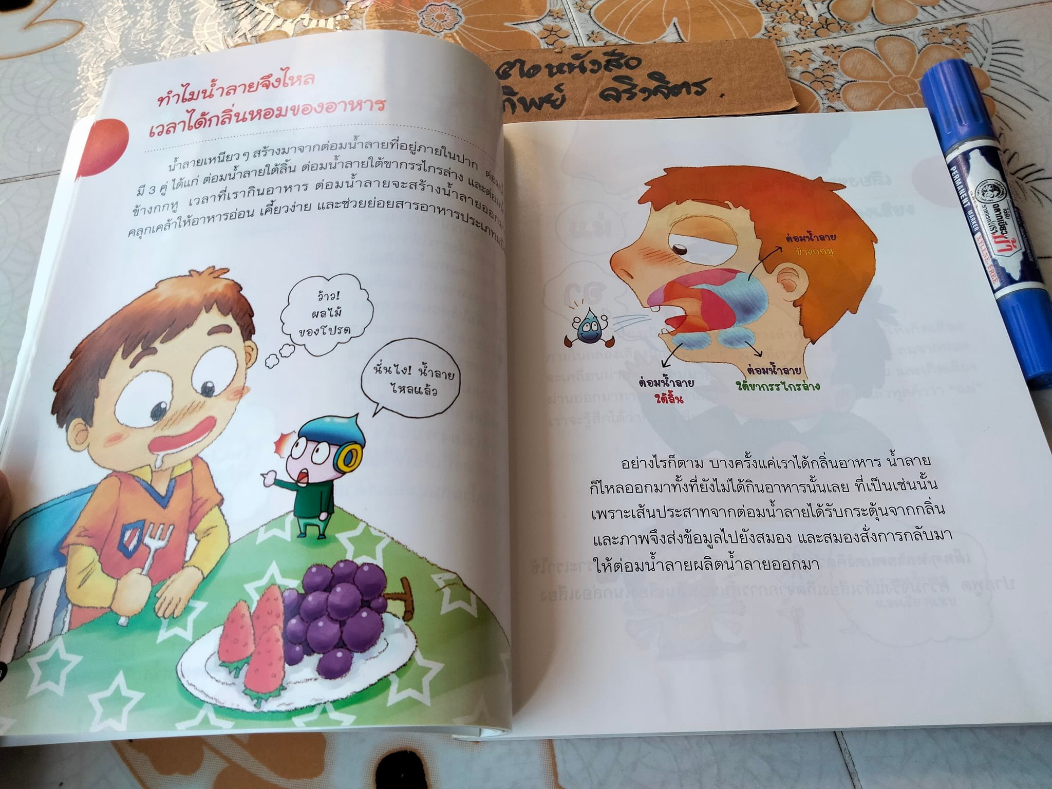 หนังสือ ชุดสารานุกรมวิทยาศาสตร์รอบตัวเรา สารพันคำถามร่างกายของเรา Jung Jai Eun เขียน - Park Ki Jong ภาพประกอบ - ดลนภา นาคพลั้ง แปล **สินค้าหมด**