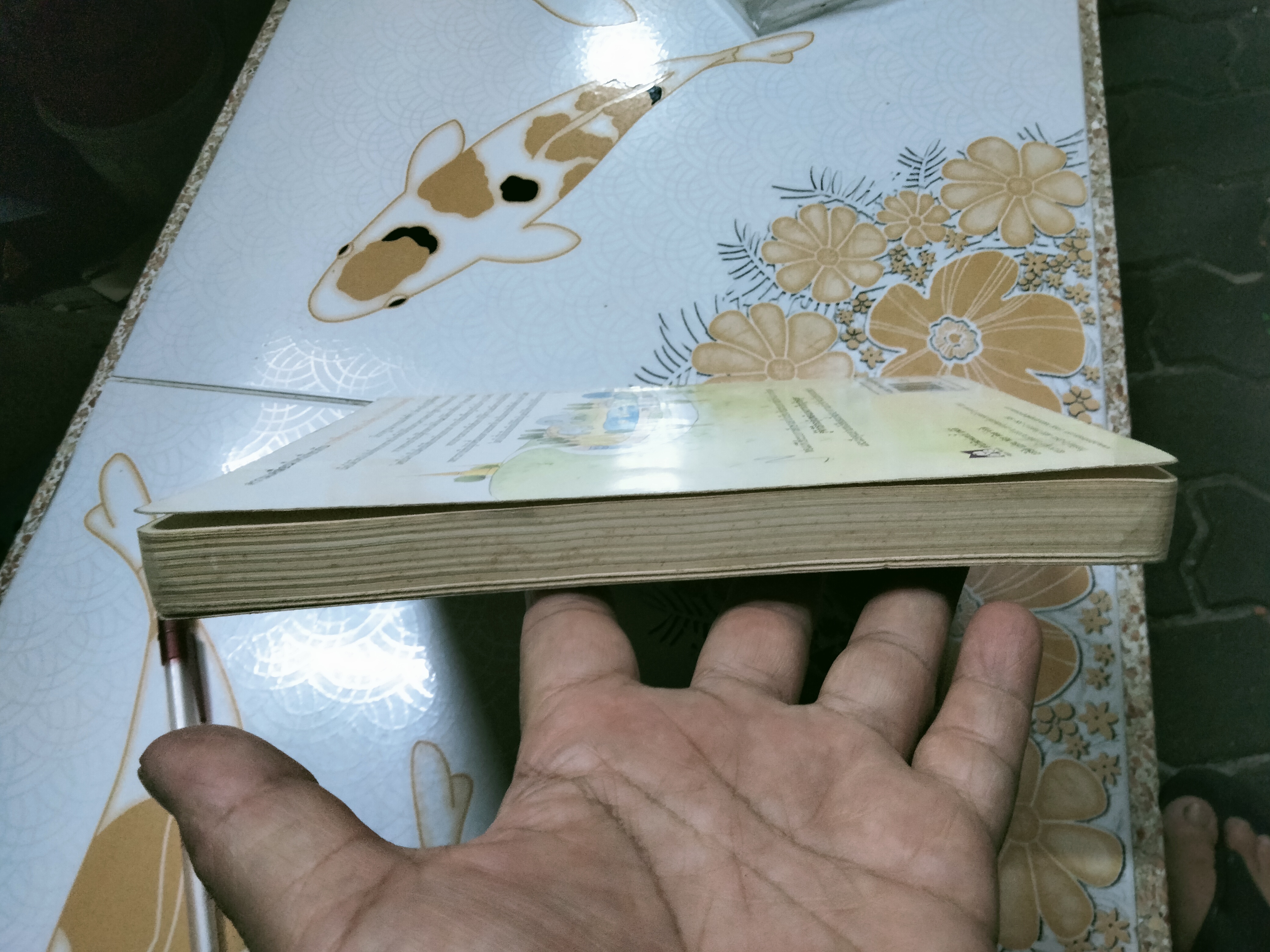 โลกทั้งใบ...เรียนได้ไม่รู้จบ Mary Griffith เขียน - มณีทิพย์ ฉัตรอุทัย แปล