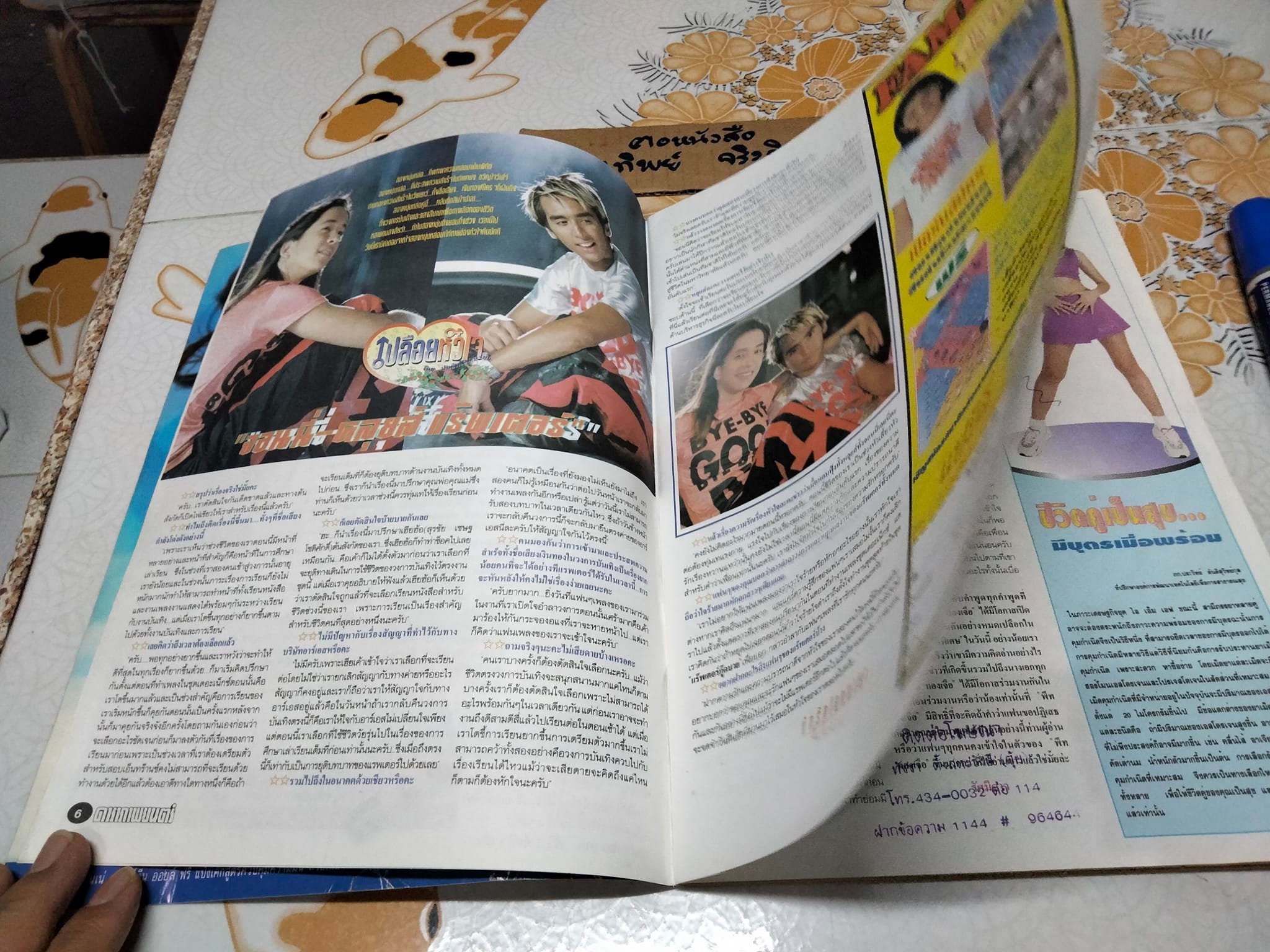 นิตยสารดาราภาพยนตร์ หน้าปก ภ.เสือ โจรพันธุ์เสือ **สินค้าหมด**