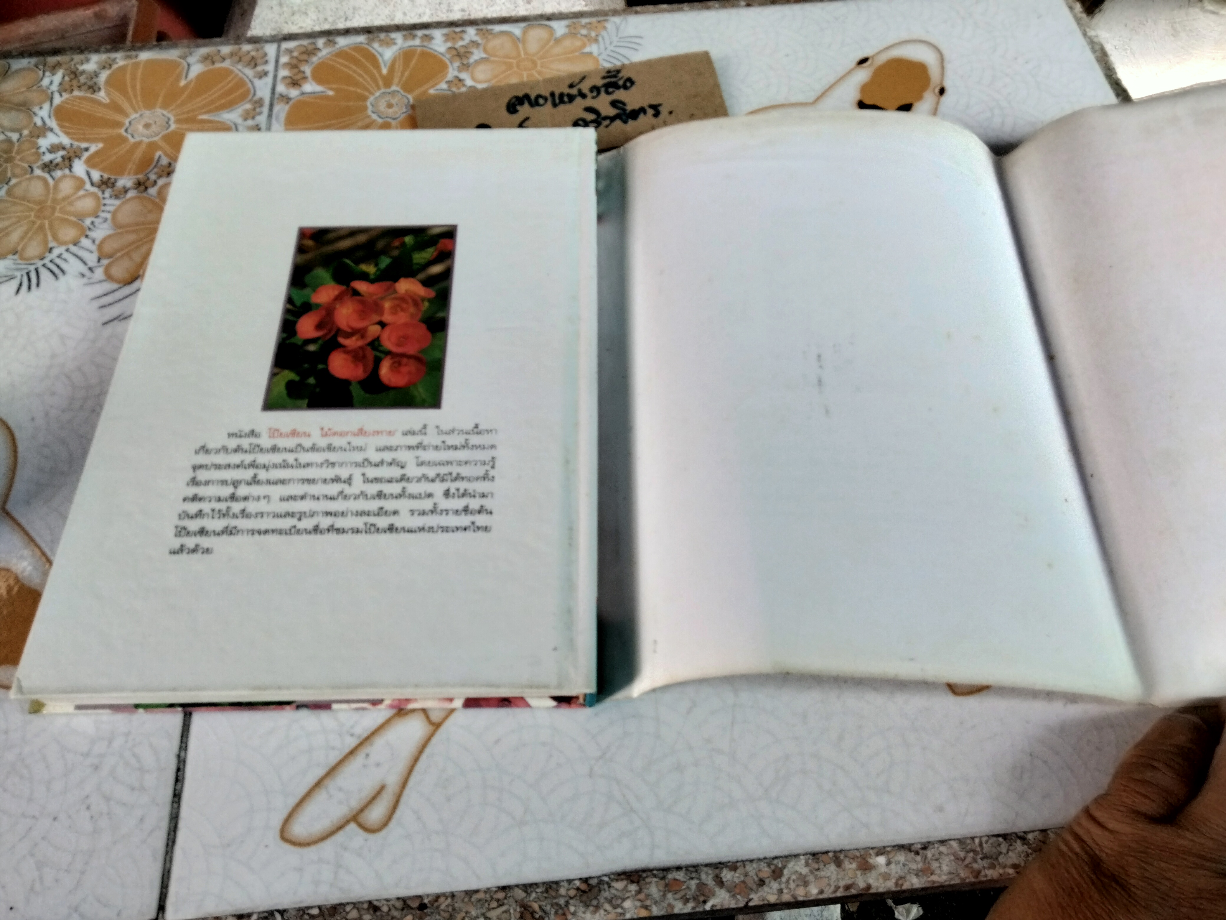 โป๊ยเซียน ไม้ดอกเสี่ยงทาย เล่ม 1 อุไร จิรมงคลการ เรียบเรียง , พิมพ์ครั้งแรก พ.ศ 2538