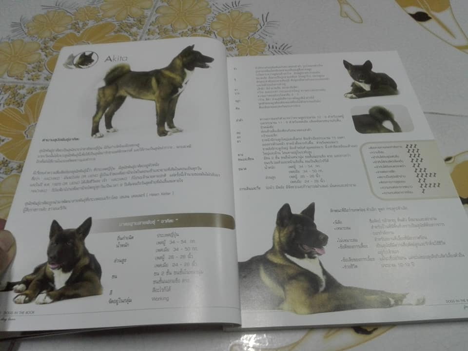 DOGS IN THE BOOK - 32 หมา...ที่คนอยากอวด