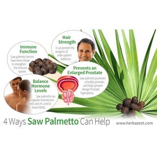 21st Century® Saw Palmetto 450 mg สารสกัดซอว์ปาลเมตโต้