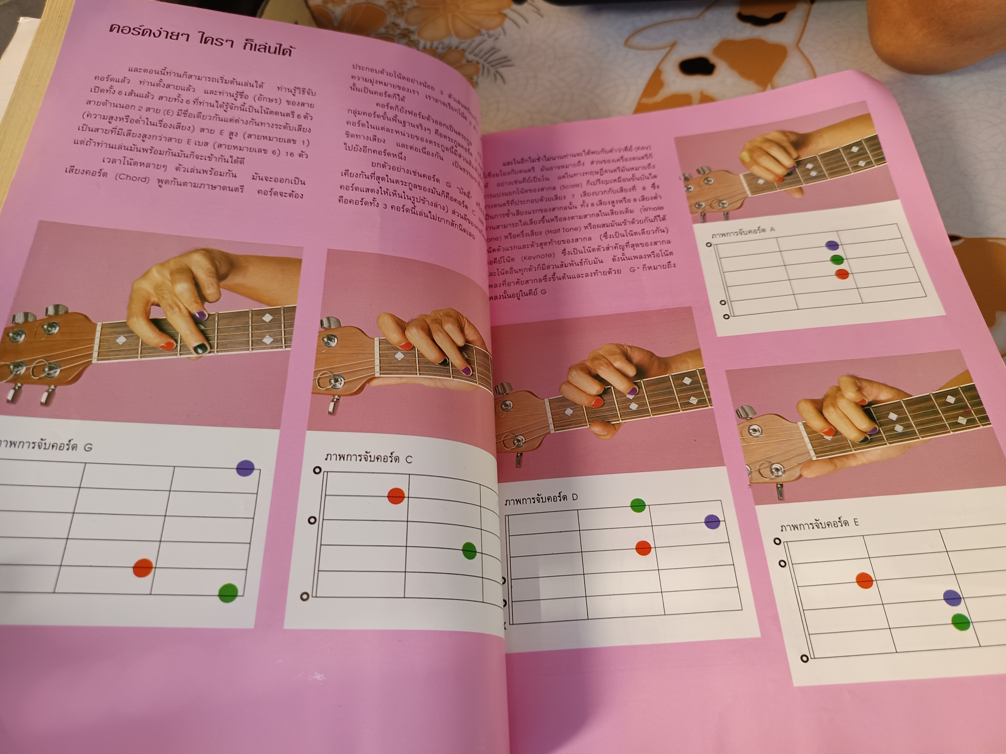 PICKING คู่มือการเกากีตาร์ / I.S. SONG HITS ช.เดชอุดม.มิสเตอร์โจ เรียบเรียง **สินค้าหมด**