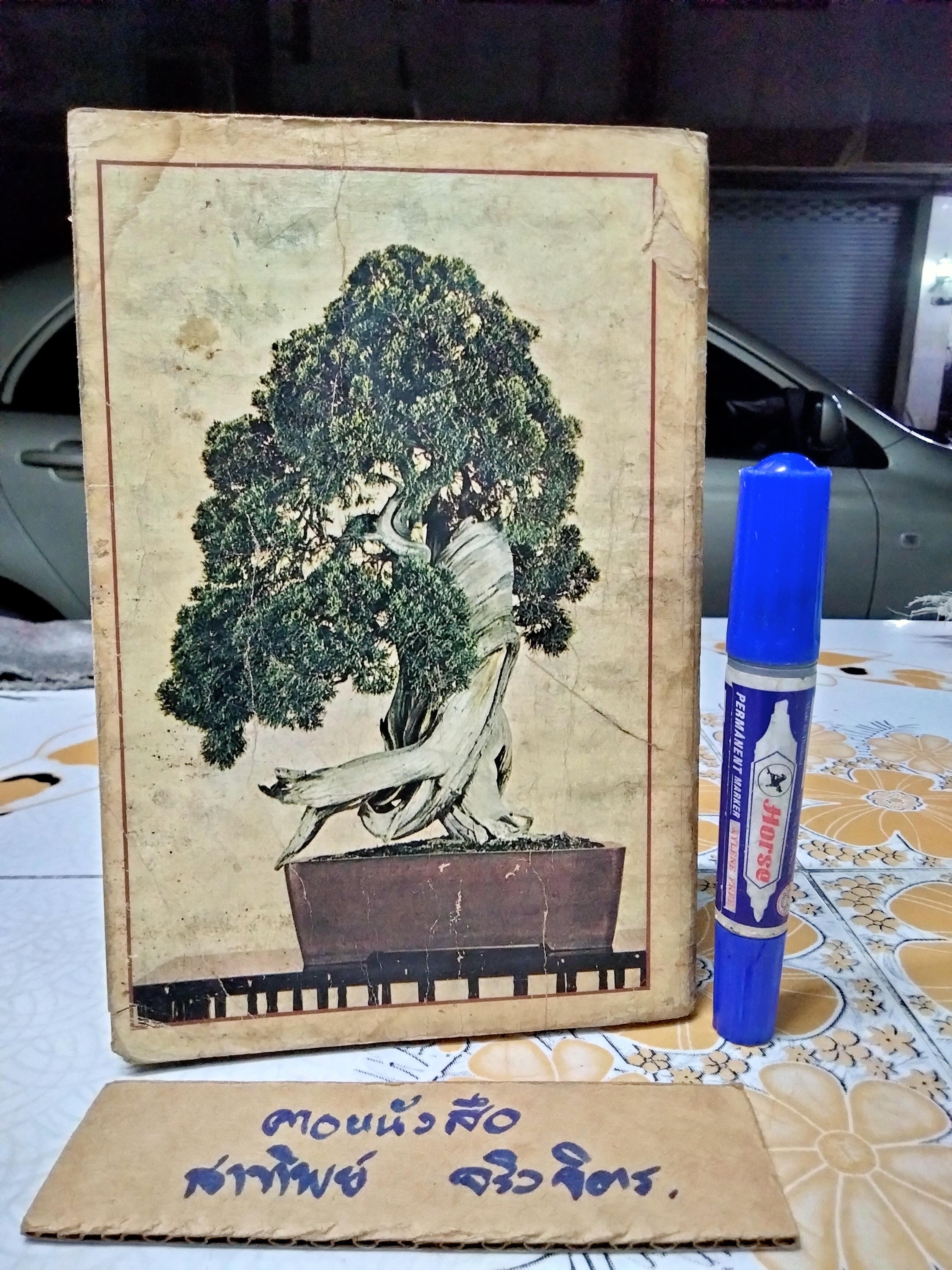 ตำราปลูกเลี้ยง และขยายพันธุ์ บอนไซ BONSAI โดยคณะอาจารย์วิทยาลัยเกษตรศาสตร์