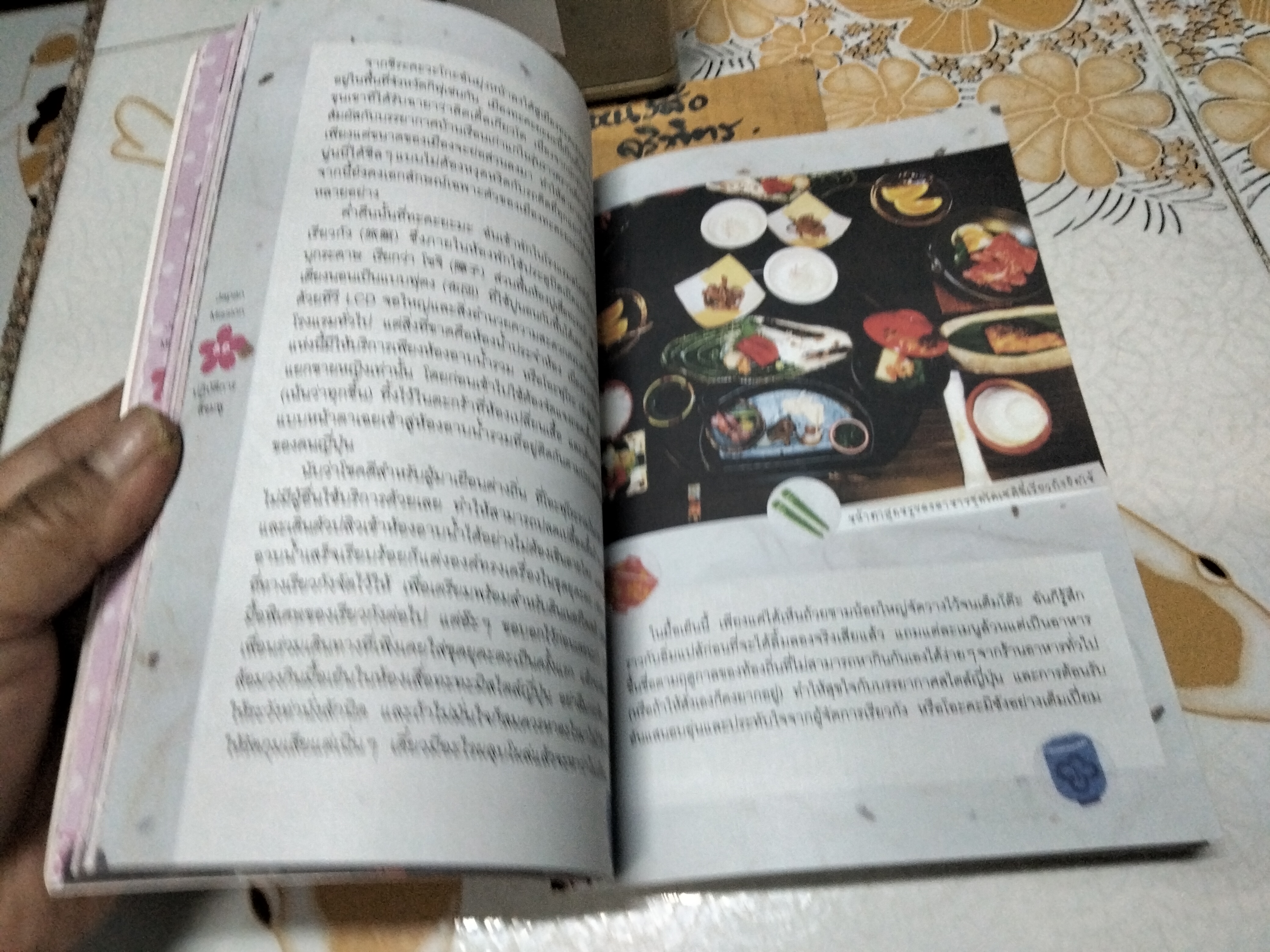 Japan Mission ตอนปฏิบัติการสีชมพู, ทิปิจัง - พิมพ์ครั้งแรก พ.ศ 2554