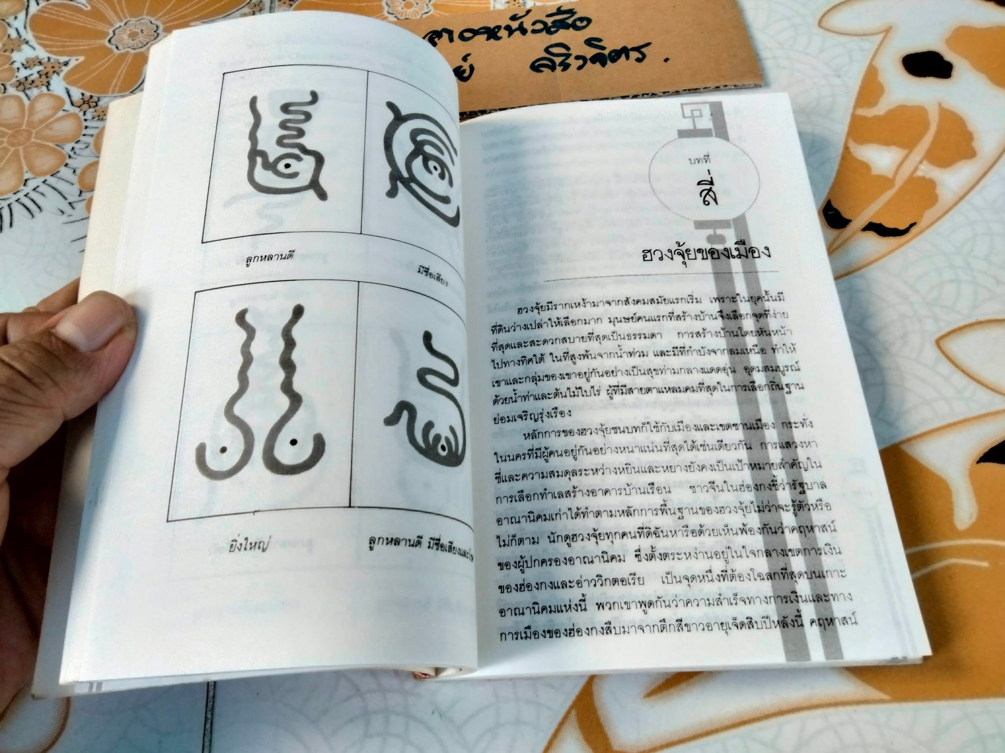 ฮวงจุ้ย ศาสตร์แห่งการพยากรณ์ทำเลดีร้าย - Sarah Rossback เขียน , อำนวยชัย ปฏิพัทธ์เผ่าพงศ์ แปล **สินค้าหมด**