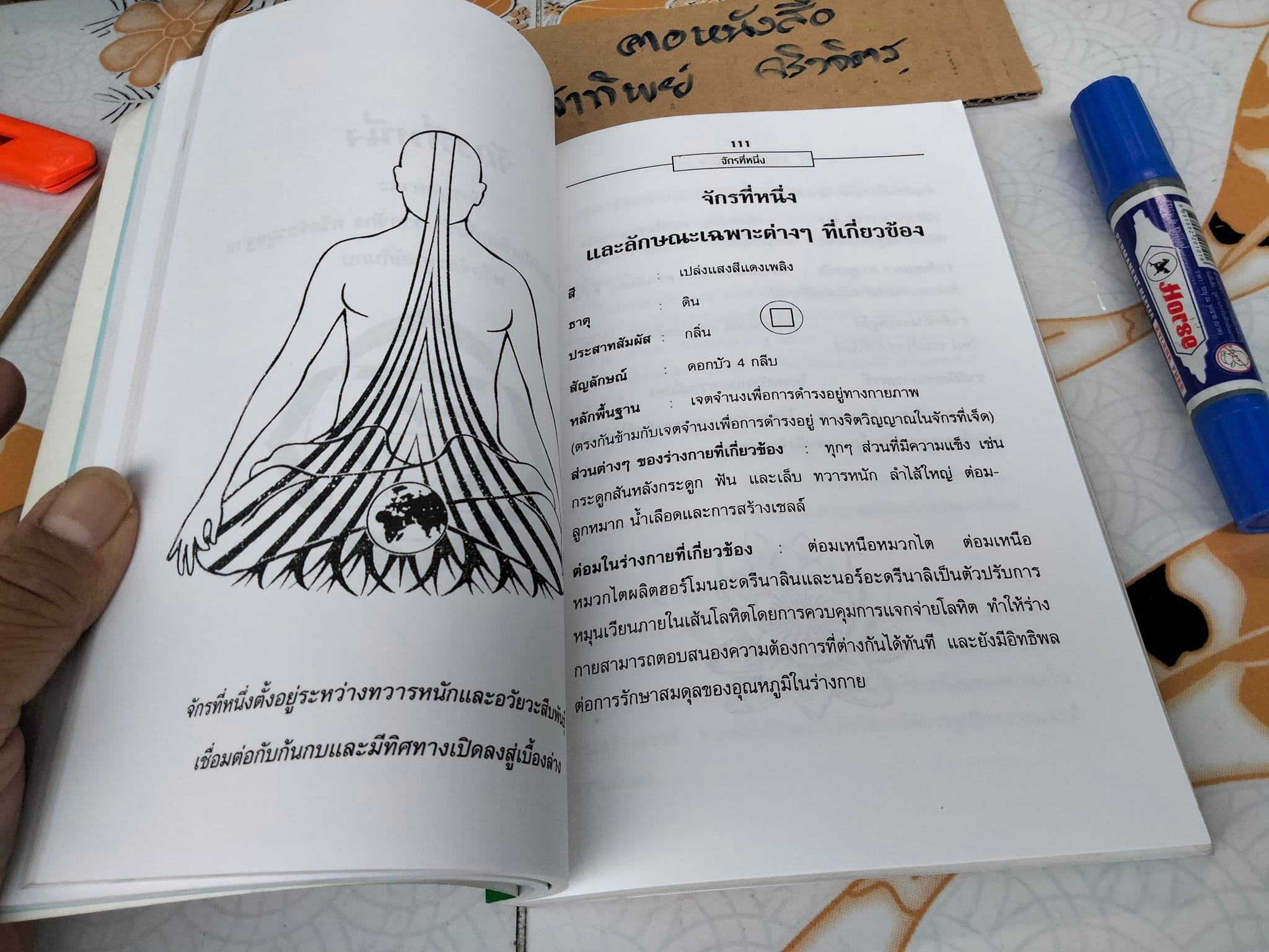 หนังสือ จักร คู่มือพลังแห่งชีวิต The Chakra Handbook โดย Shalila Sharamon and Bodo J. Baginski - แปลและเรียบเรียง โดย หมอโบราณ **สินค้าหมด**