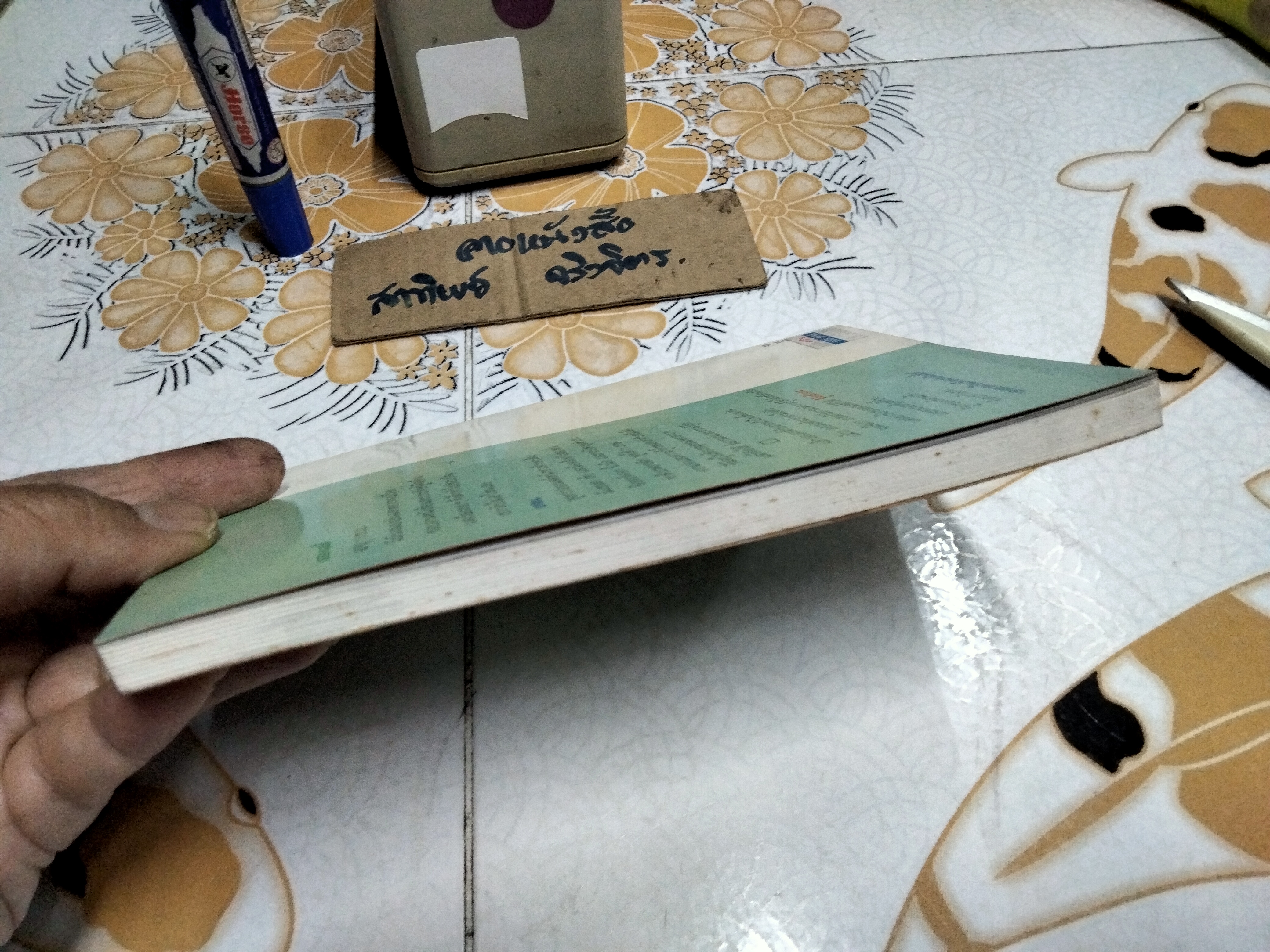 เธออยากเป็นเพื่อนกับฉันมั๊ย (Ernest Pickle's Remarkable Robot) แม็กซ์ แดนน์ เขียน อำนวยชัย ปฏิพัทธ์เผ่าพงศ์ แปล