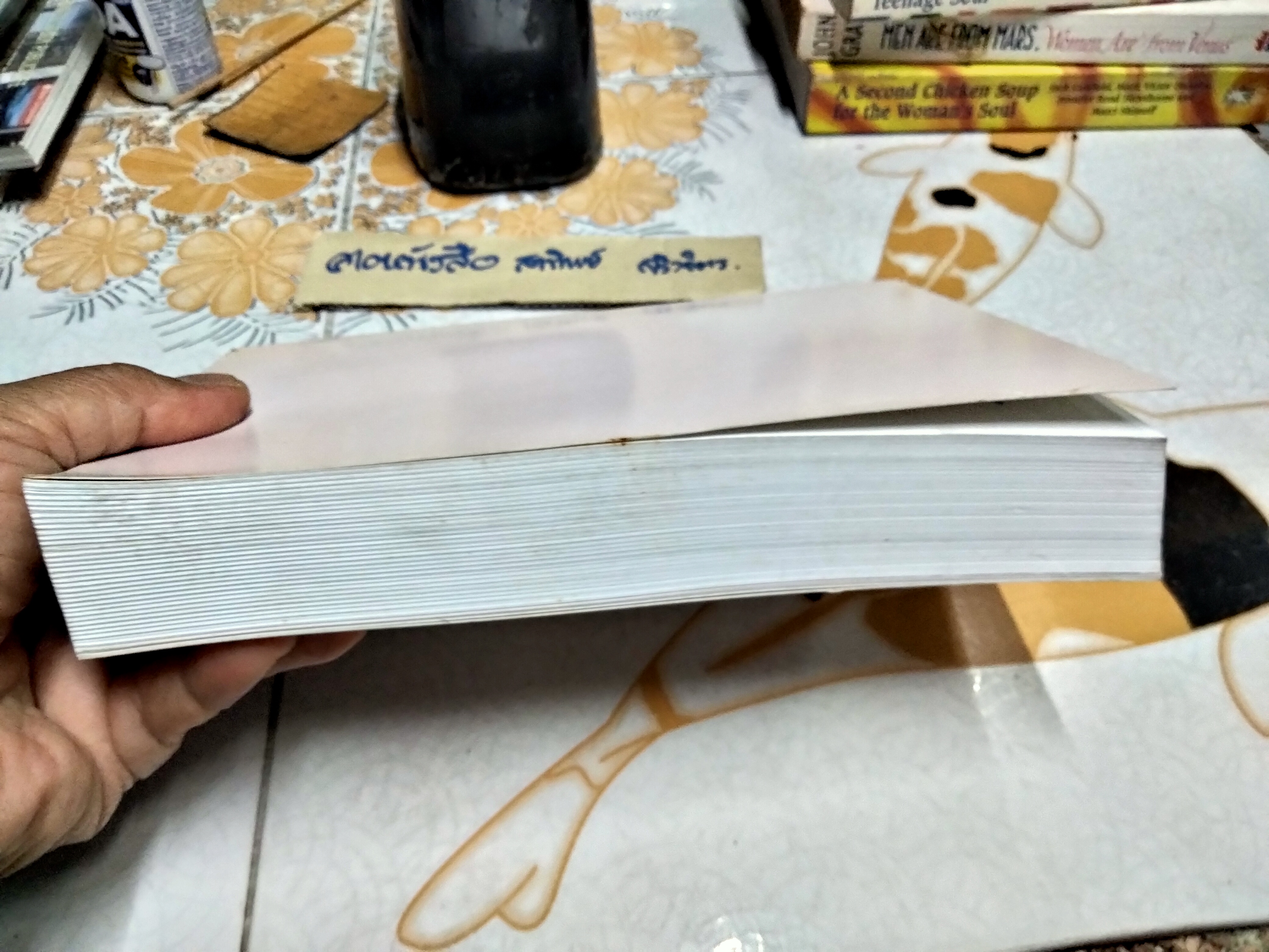 คัมภีร์ มงคลทีปนี แปลโดยพิศดาร สำนวนของ พระครูศิริปัญญามุนี (อ่อน) จัดพิมพ์เป็นที่ระลึกเนื่องในโอกาสครบรอบอายุ 72 ปี อาจารย์เรณู ทัศณรงค์