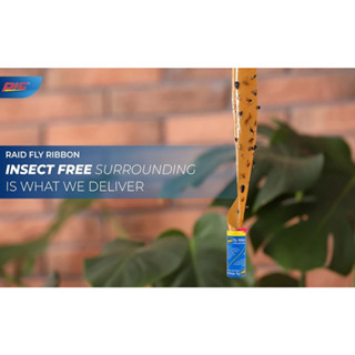 Raid® Fly Ribbons, Fly Traps for Indoors and Outdoors 10 Pack Cinta Para Moscas เทปกับดักแมลงวัน