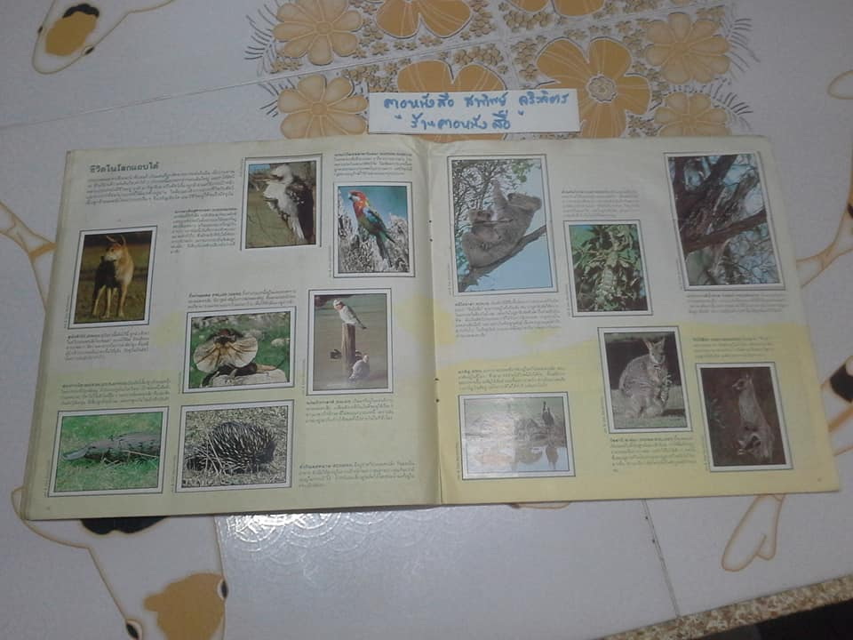 สมุดสะสมสติกเกอร์ ชีวิตสัตว์โลก - แปะครบ (ตัวเล่มมีคราบน้ำ มุมบนมีรอยยับ) **สินค้าหมด**