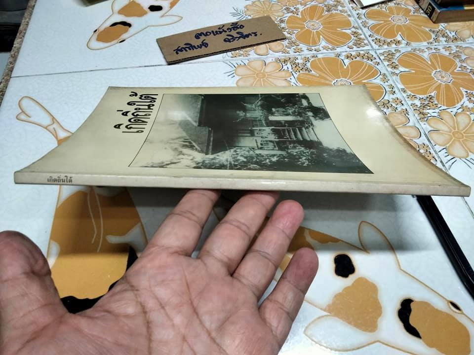 เกิดถิ่นใต้ - หนังสือที่ค้นคว้าเกี่ยวกับตระกูล ติณสูลานนท์ ในเชิงประวัติศาสตร์ โบราณคดีและศิลปวัฒนธรรม **สินค้าหมด**