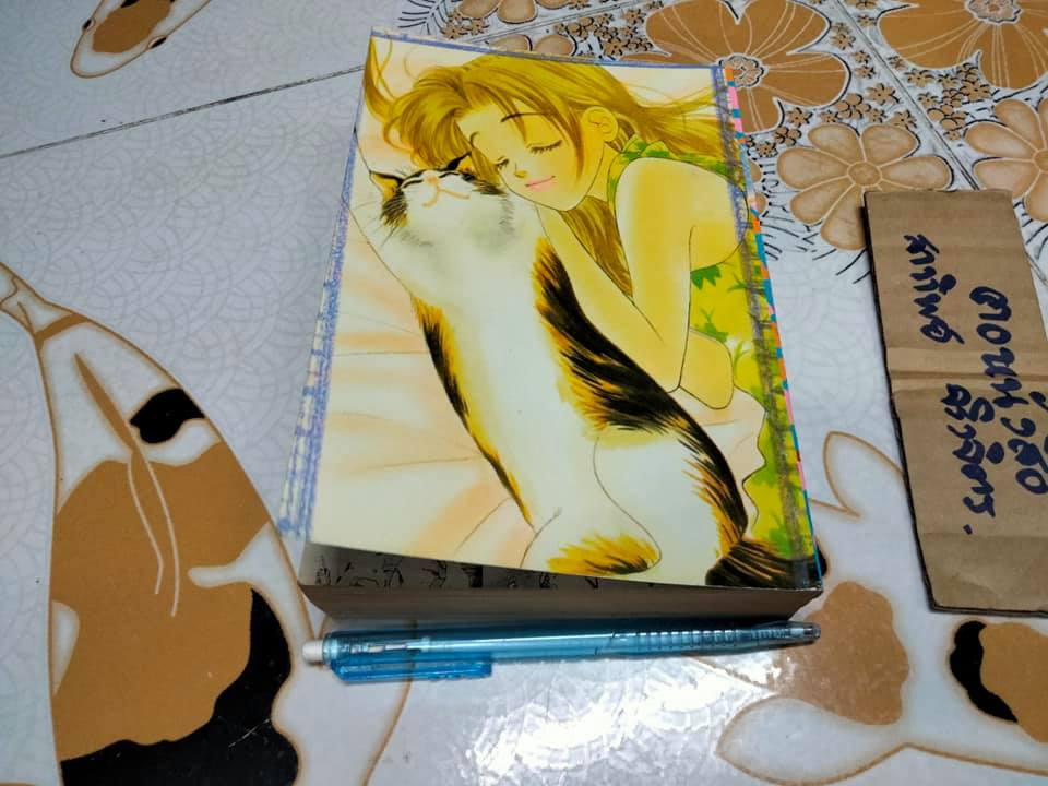 สาวน้อยดอกกุหลาบ Saito Chiho (เล่มเดียวจบ)