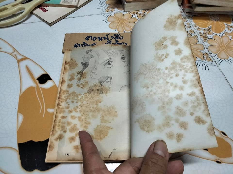 ของขวัญสรรจากใจ 2 (เล่มเดียวจบ) - Saito Chiho