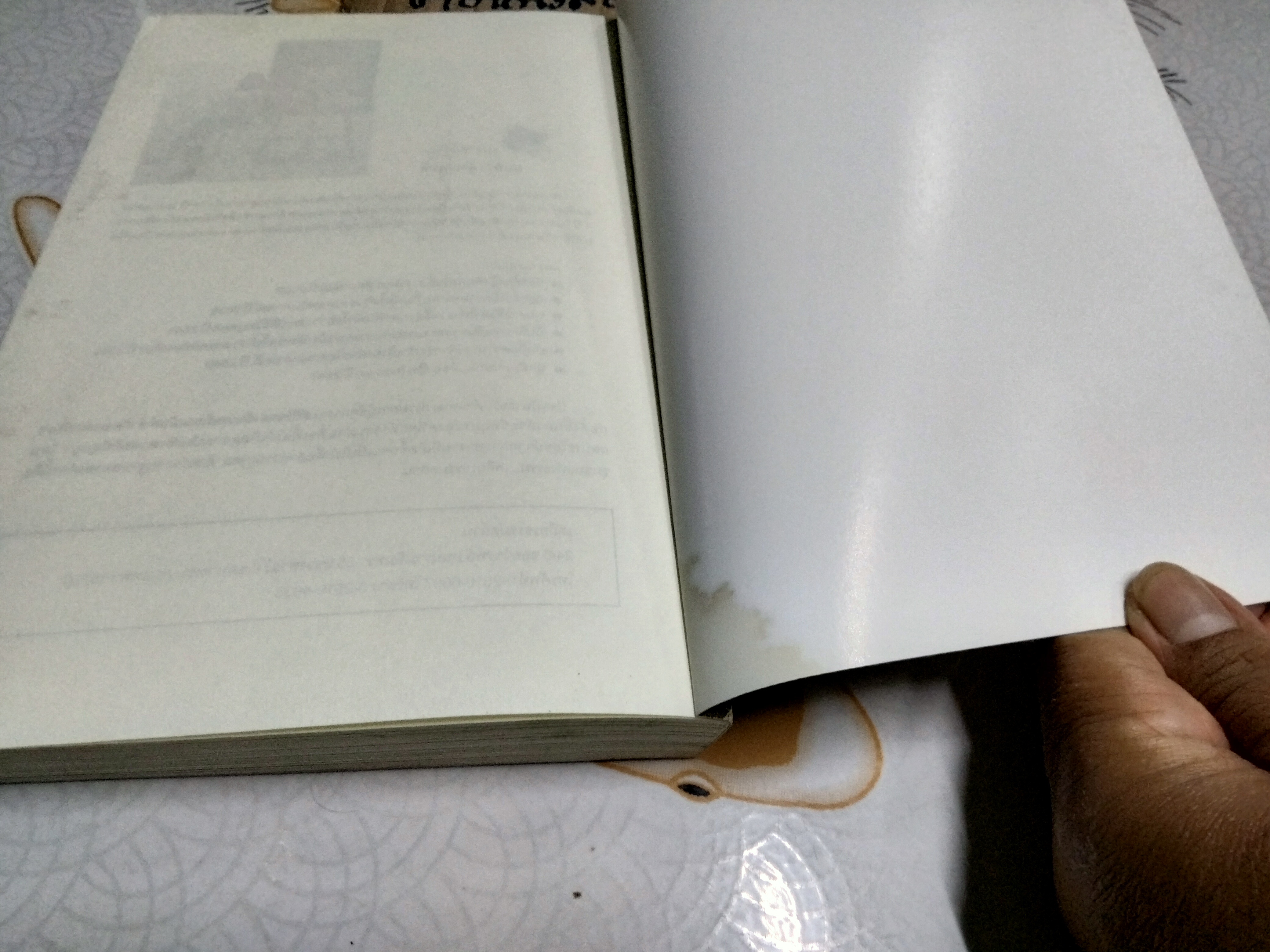 แม่ชีศันสนีย์ เสถียรสุต - ก้าวย่างแห่งปัญญา โดย มนทิรา จูฑะพุทธิ