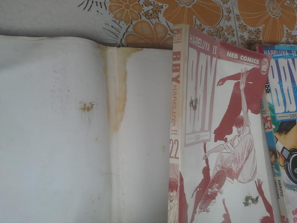 หนังสือการ์ตูน BOY HARELUYA ll 1-33 จบ ** สินค้าหมด**