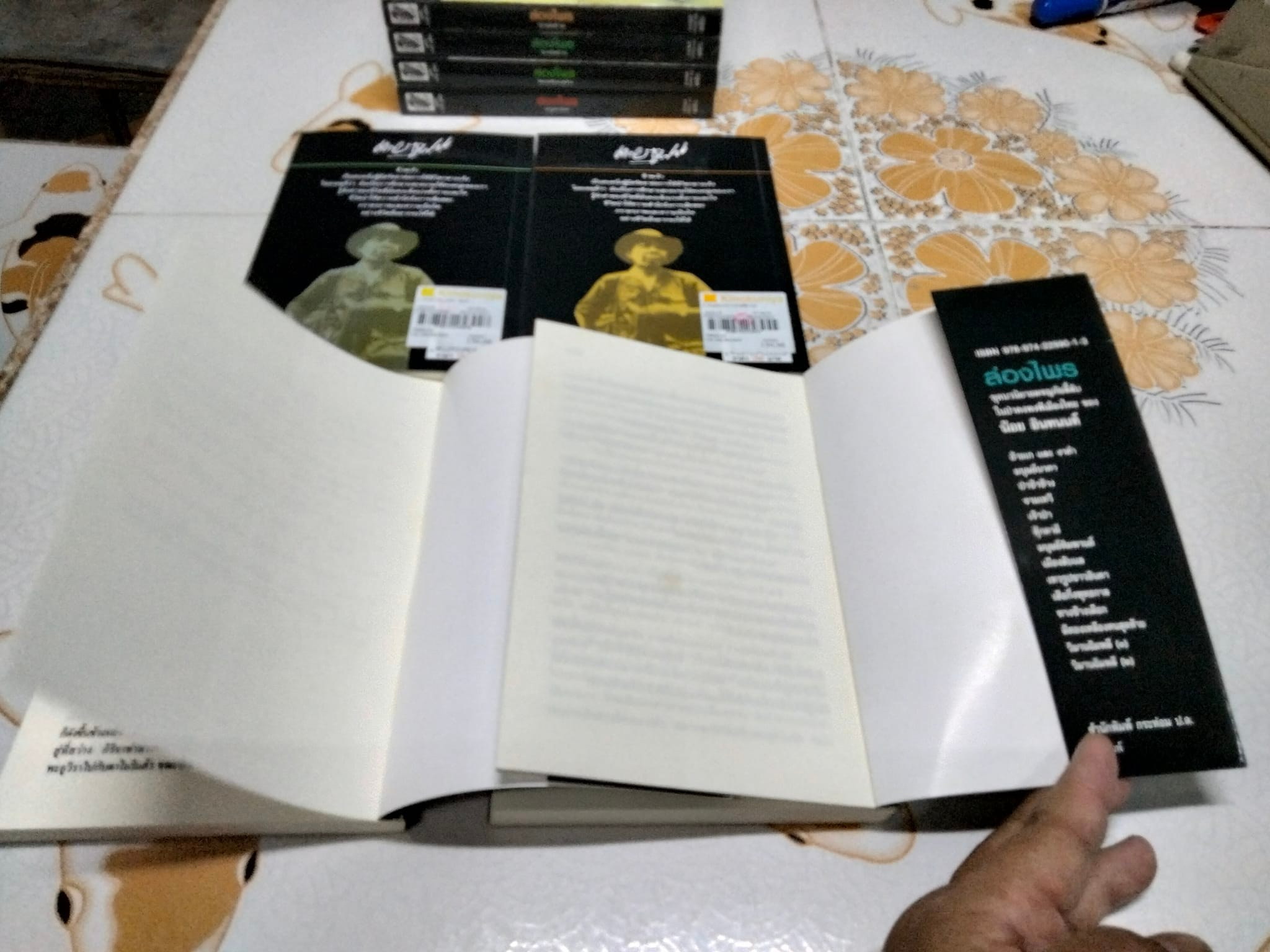 นิยายล่องไพร 8 เล่ม- (ครบชุด คือ 14 เล่ม) + ลูกไพร 1 เล่ม โดย น้อย อินทนนท์ - รวมเป็น 9 เล่ม